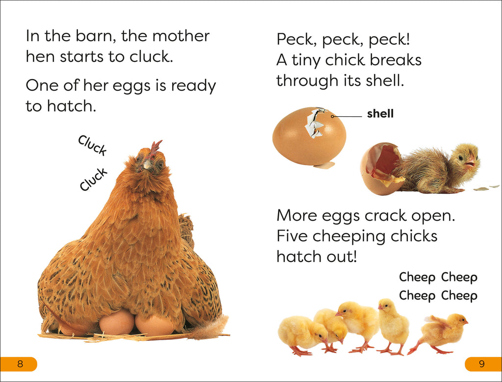 9780241591031-spread-Spread Image (PRHC Design Do Not Use)