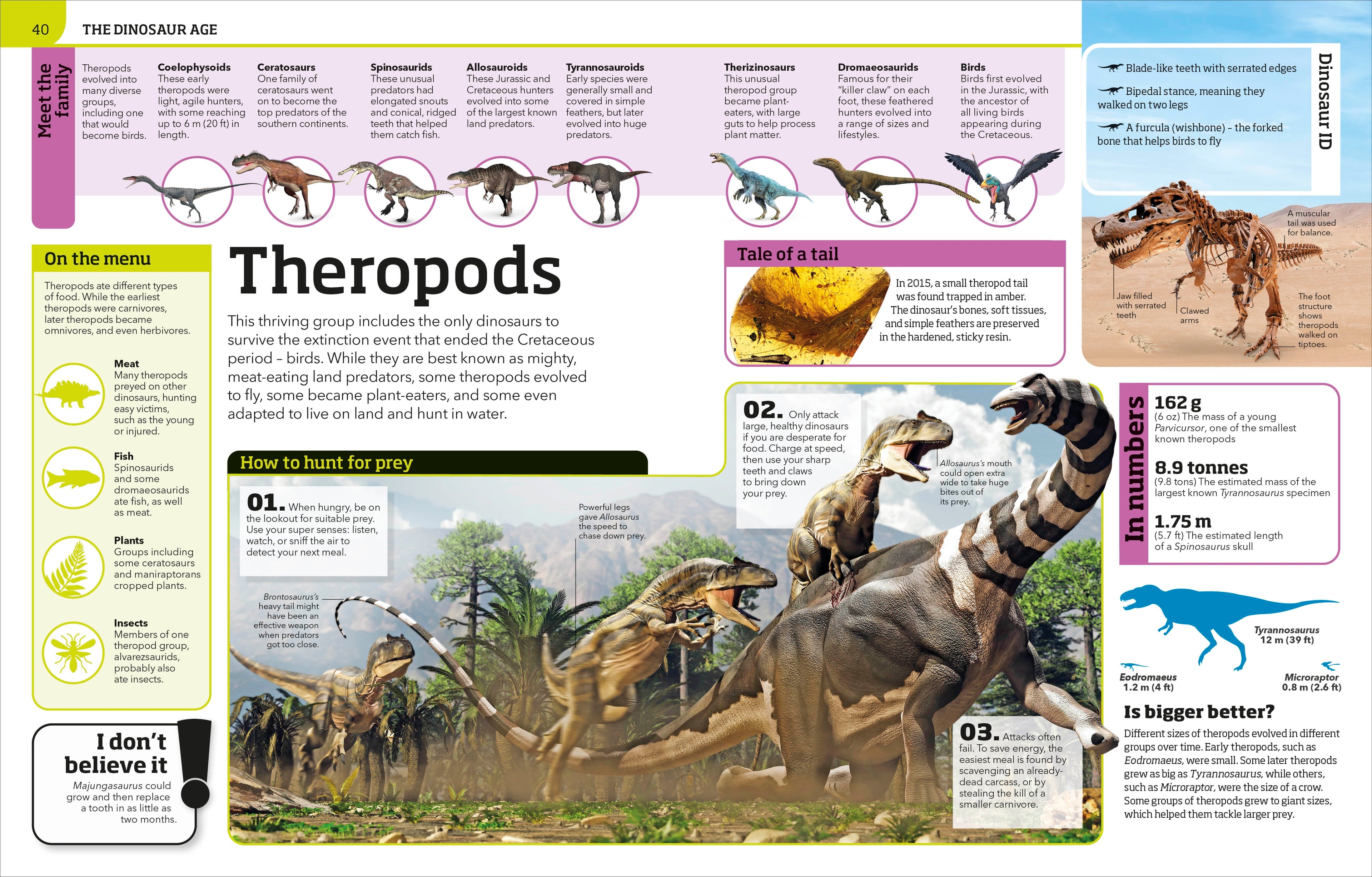 Dinosaur Knowledge Genius!