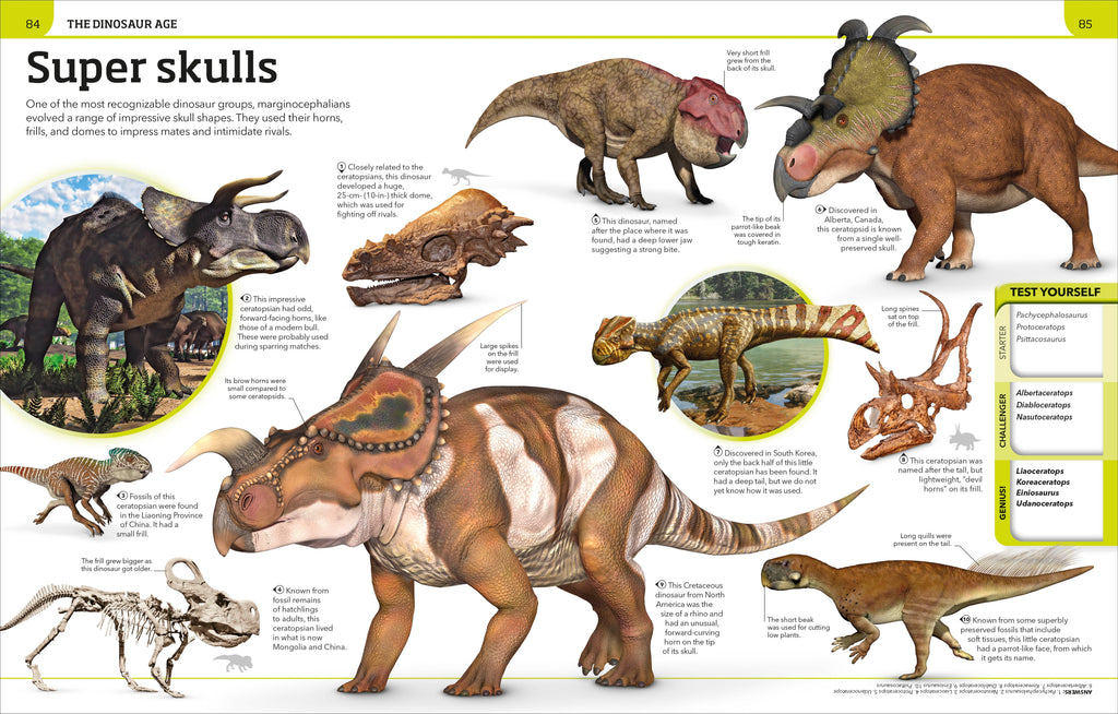 Dinosaur Knowledge Genius!