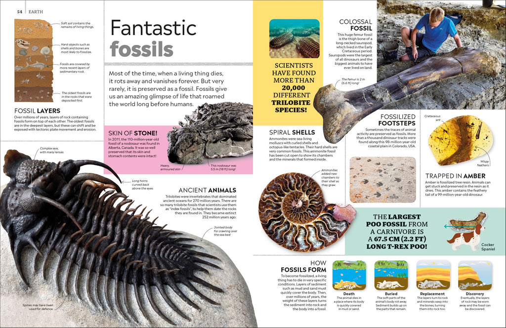 Eyewitness Encyclopedia of Everything