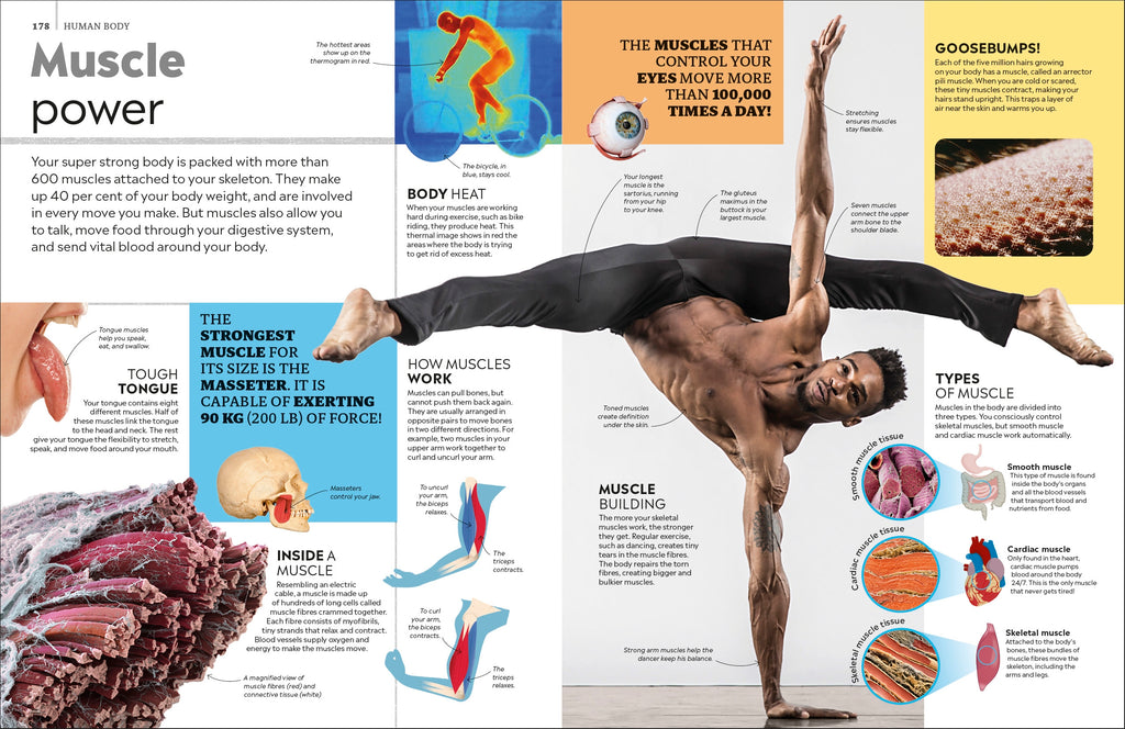 Eyewitness Encyclopedia of Everything