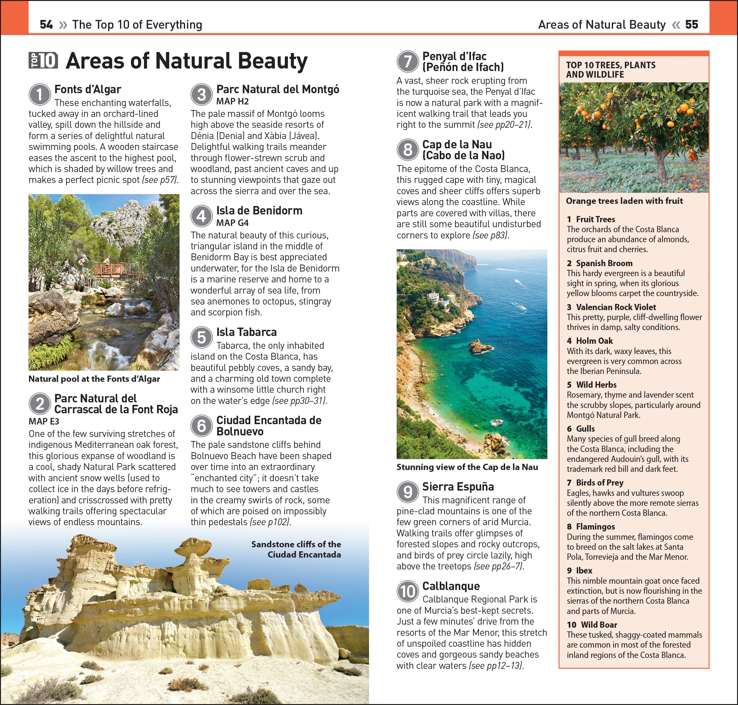 9780241615355-spread-Spread Image (PRHC Design Do Not Use)