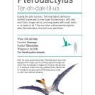 Our World in Pictures Dinosaurs and Other Prehistoric Creatures Flash Cards