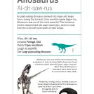 Our World in Pictures Dinosaurs and Other Prehistoric Creatures Flash Cards