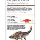 Our World in Pictures Dinosaurs and Other Prehistoric Creatures Flash Cards