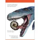 Our World in Pictures Dinosaurs and Other Prehistoric Creatures Flash Cards