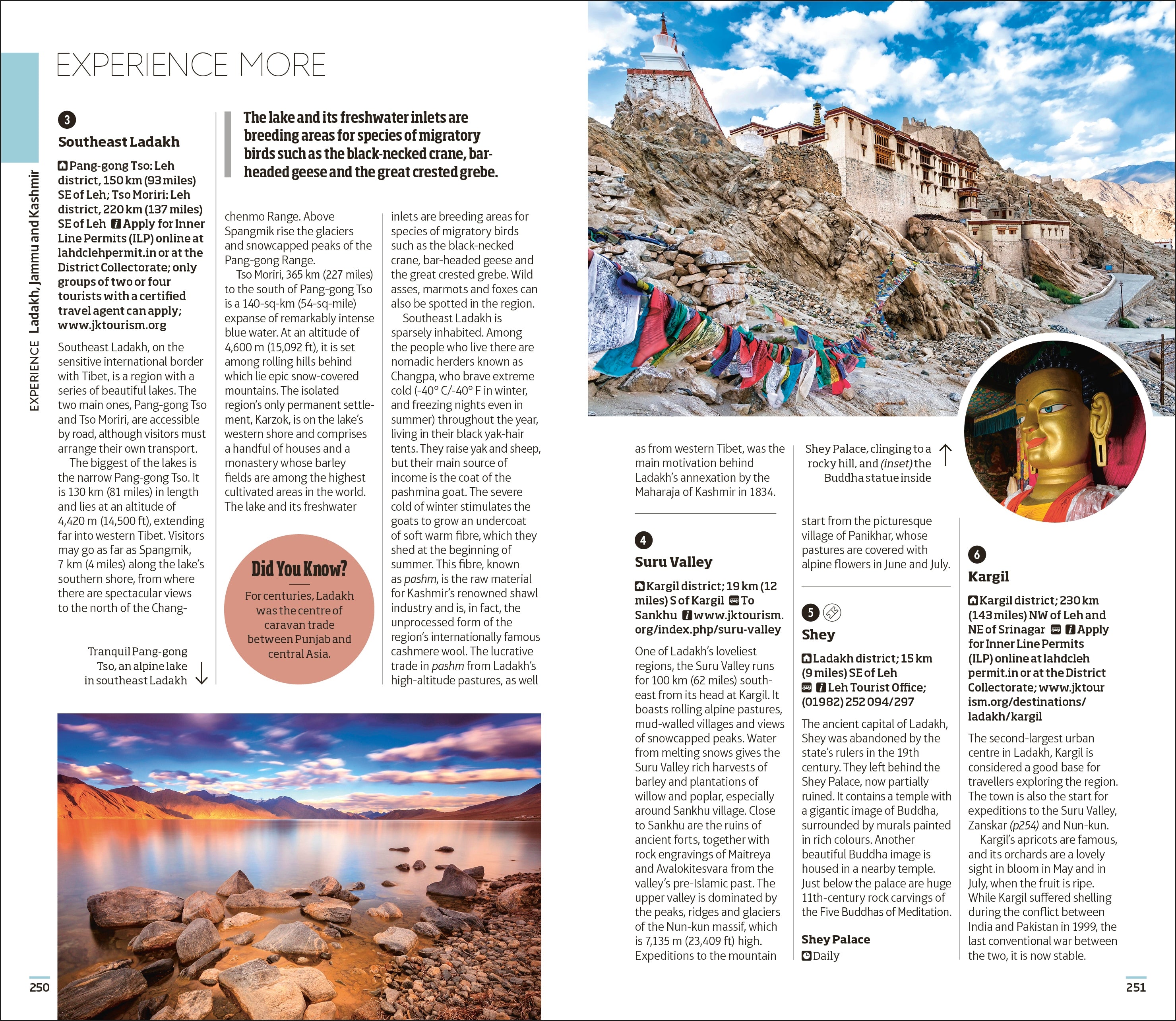 9780241625019-spread-Spread Image (PRHC Design Do Not Use)