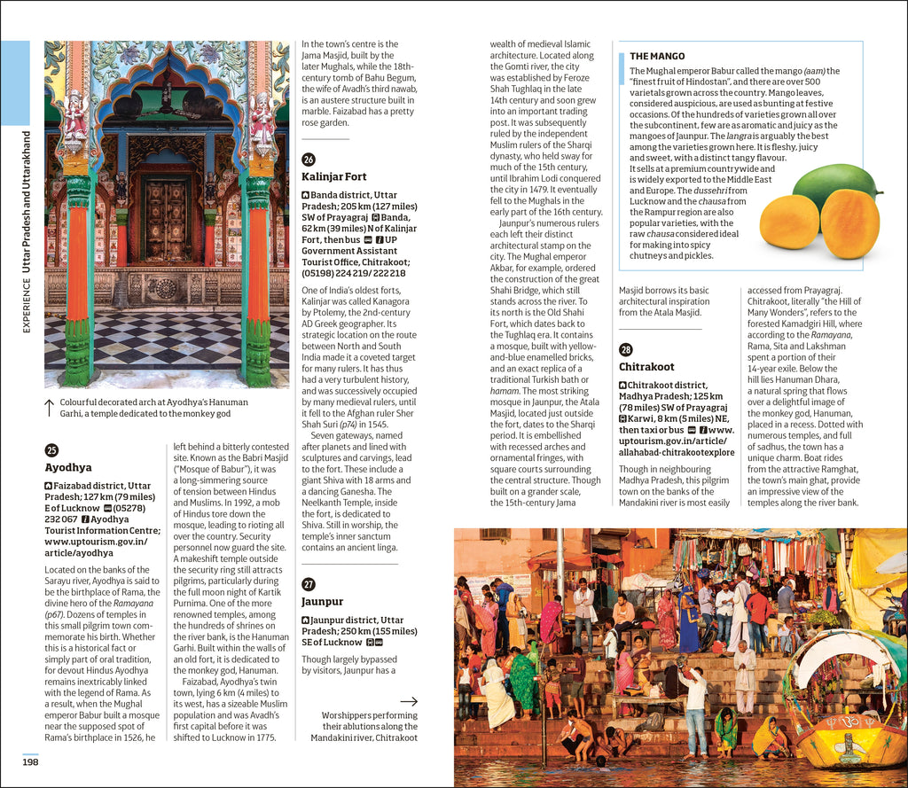 9780241625019-spread-Spread Image (PRHC Design Do Not Use)