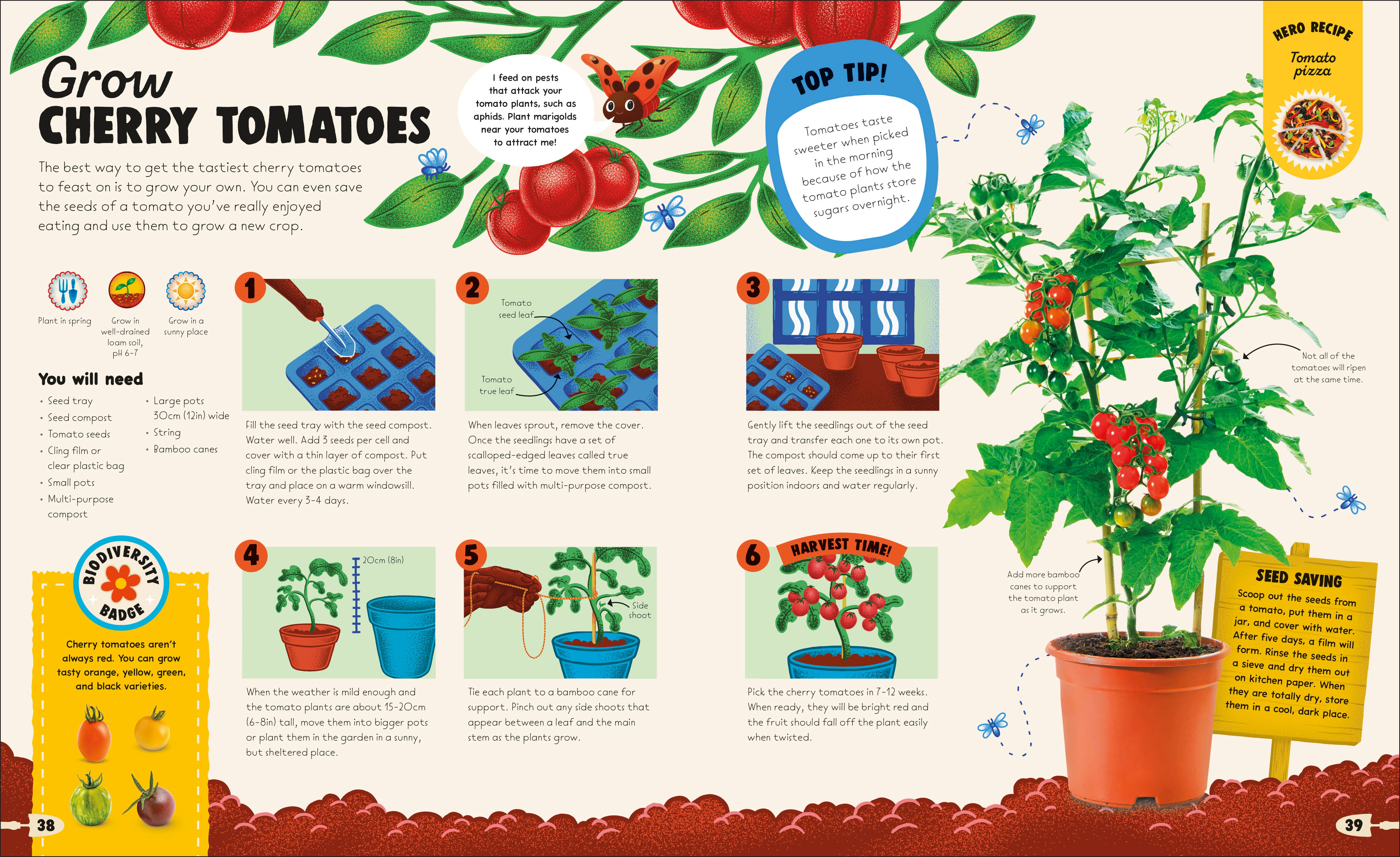 From Plant to Plate – DK