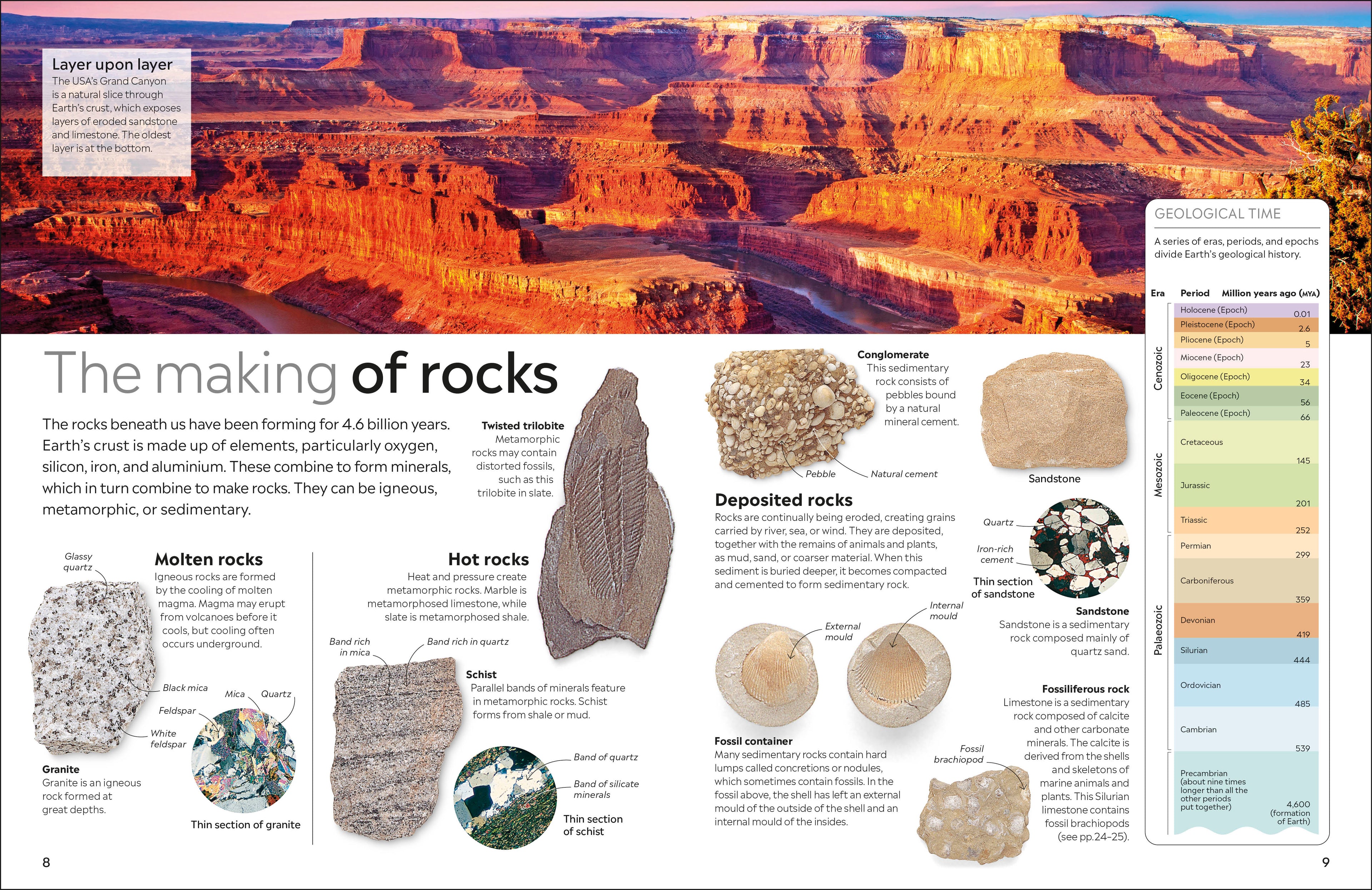 9780241652770-spread-1