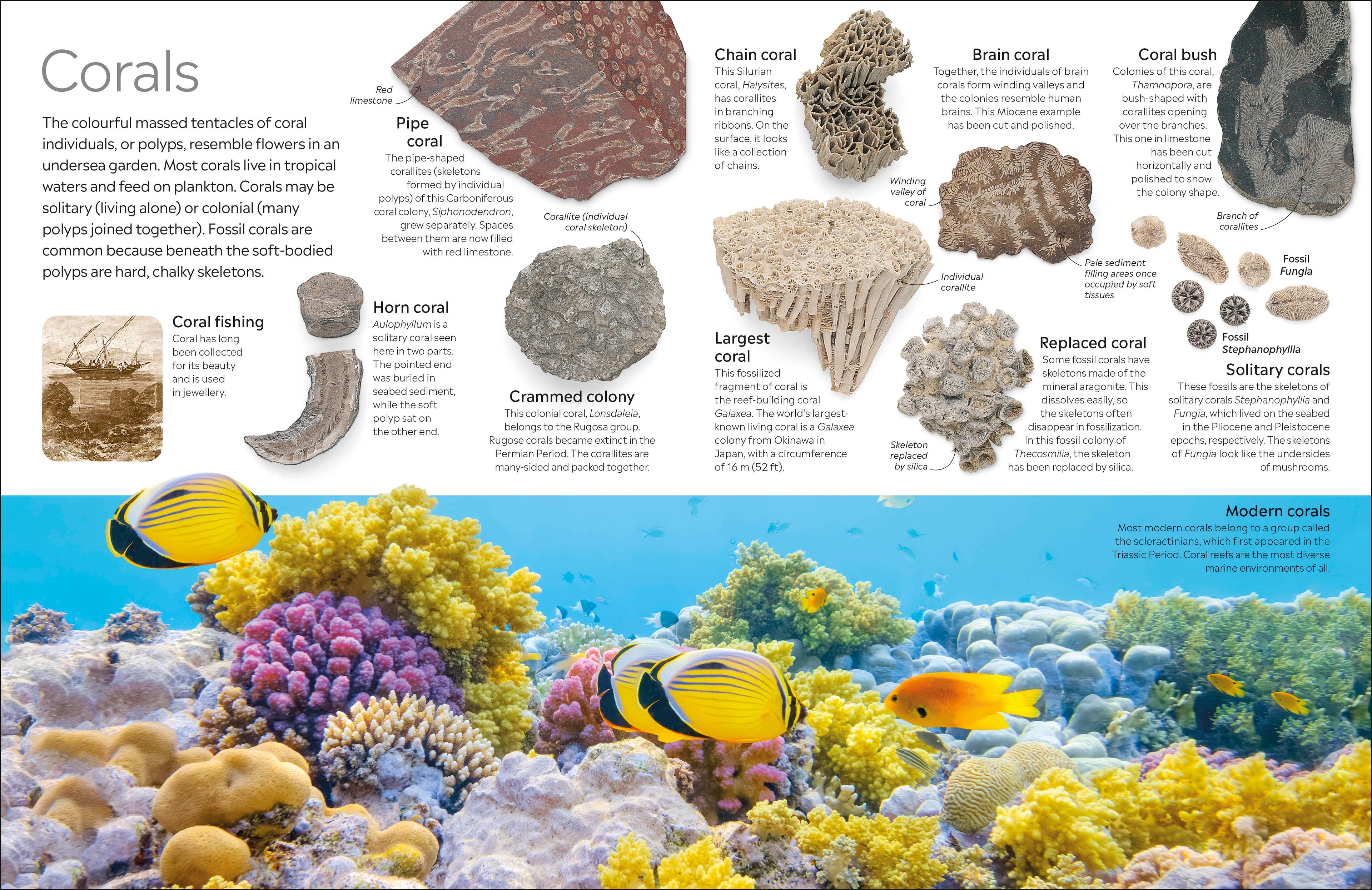 9780241652770-spread-2