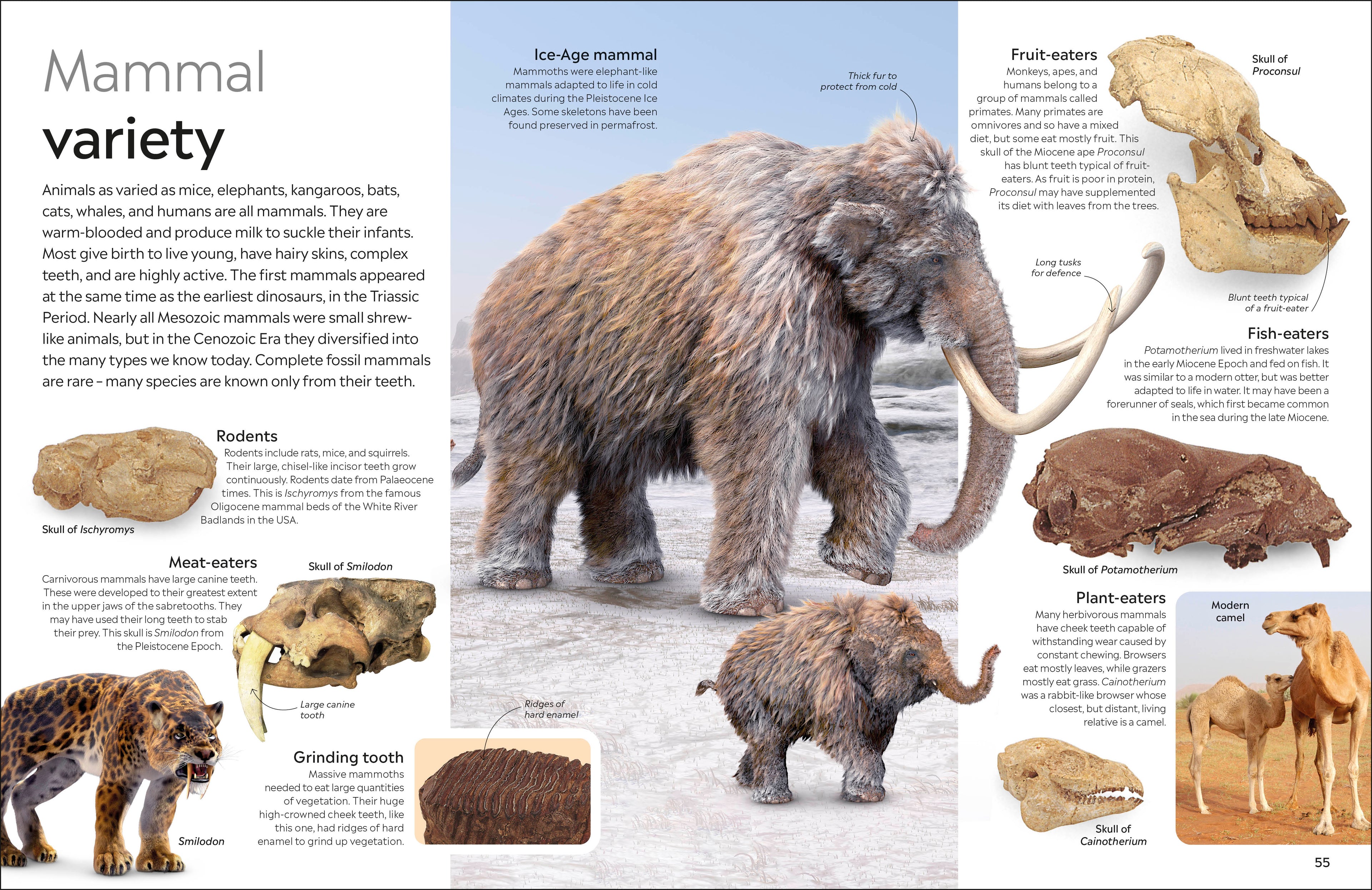 9780241652770-spread-4