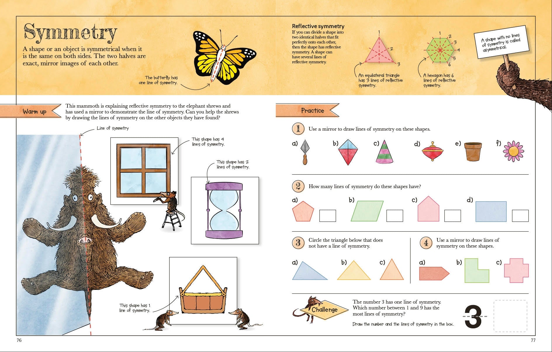 Mammoth Maths Workbook
