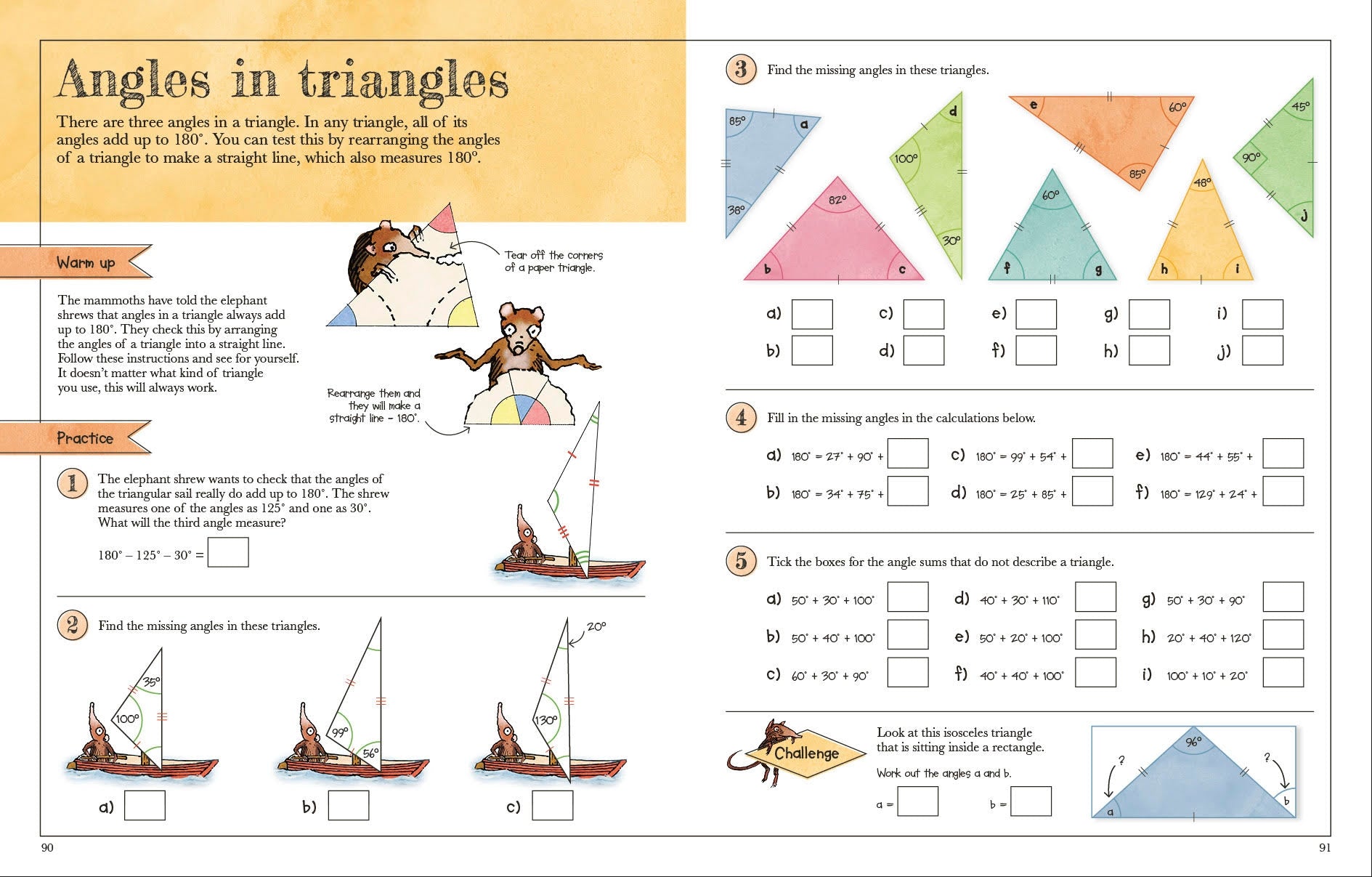 Mammoth Maths Workbook