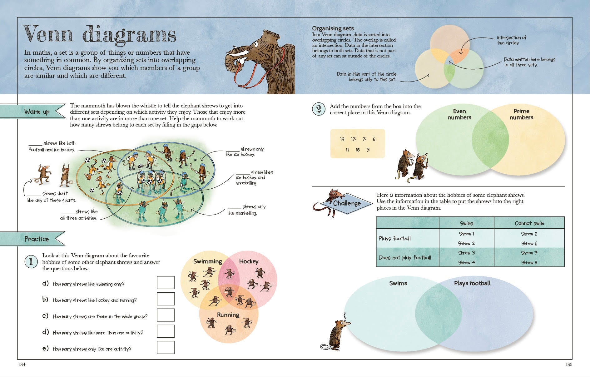 Mammoth Maths Workbook