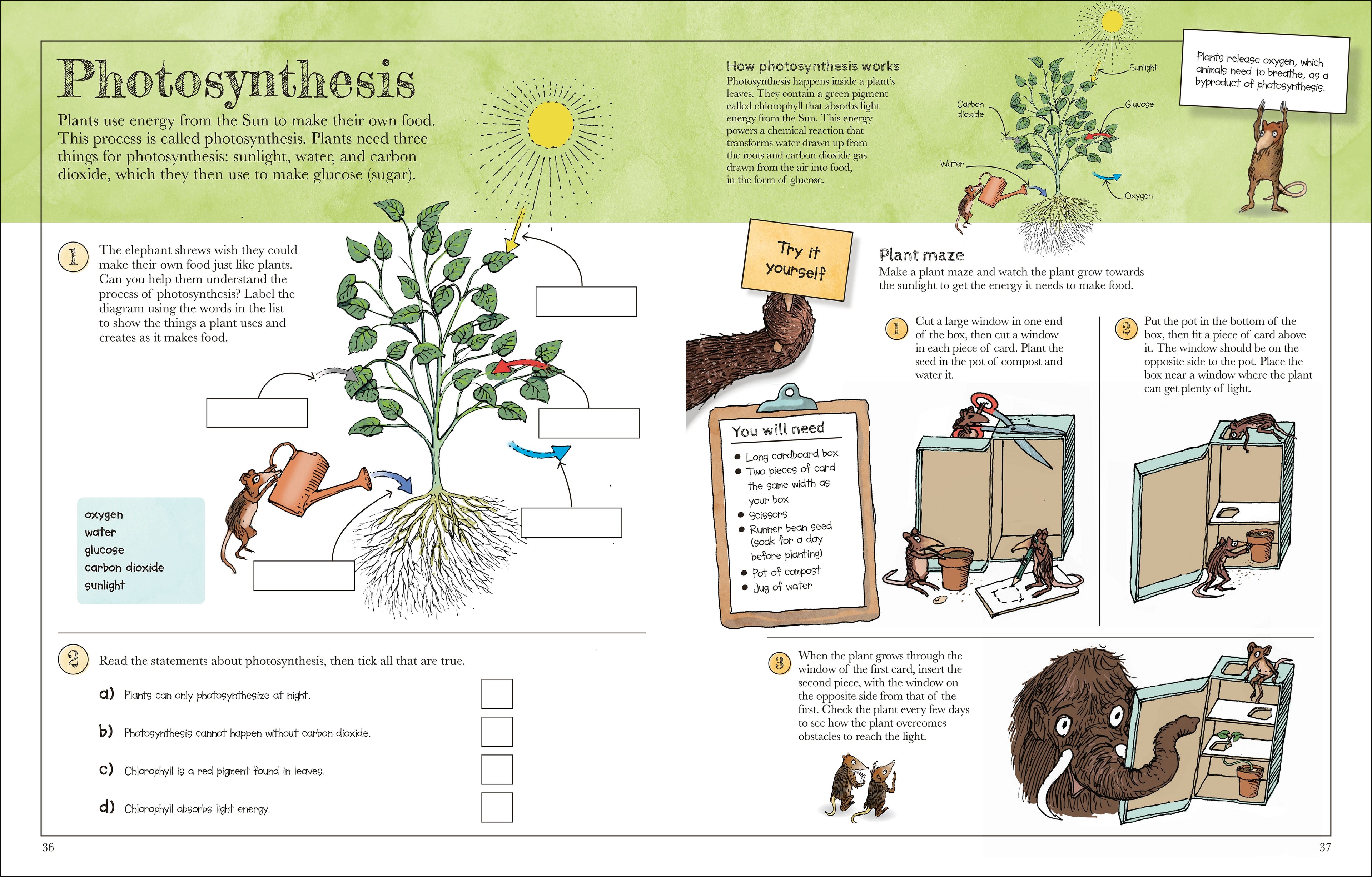Mammoth Science Workbook