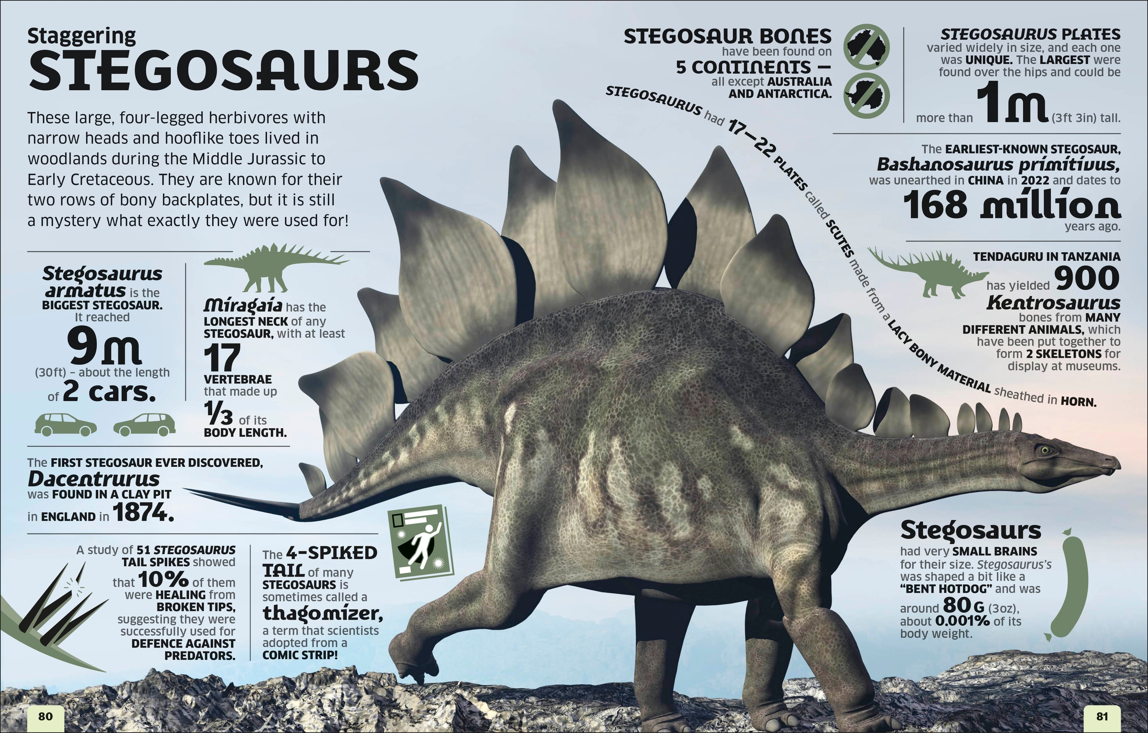 Our World in Numbers Dinosaurs and Other Prehistoric Life