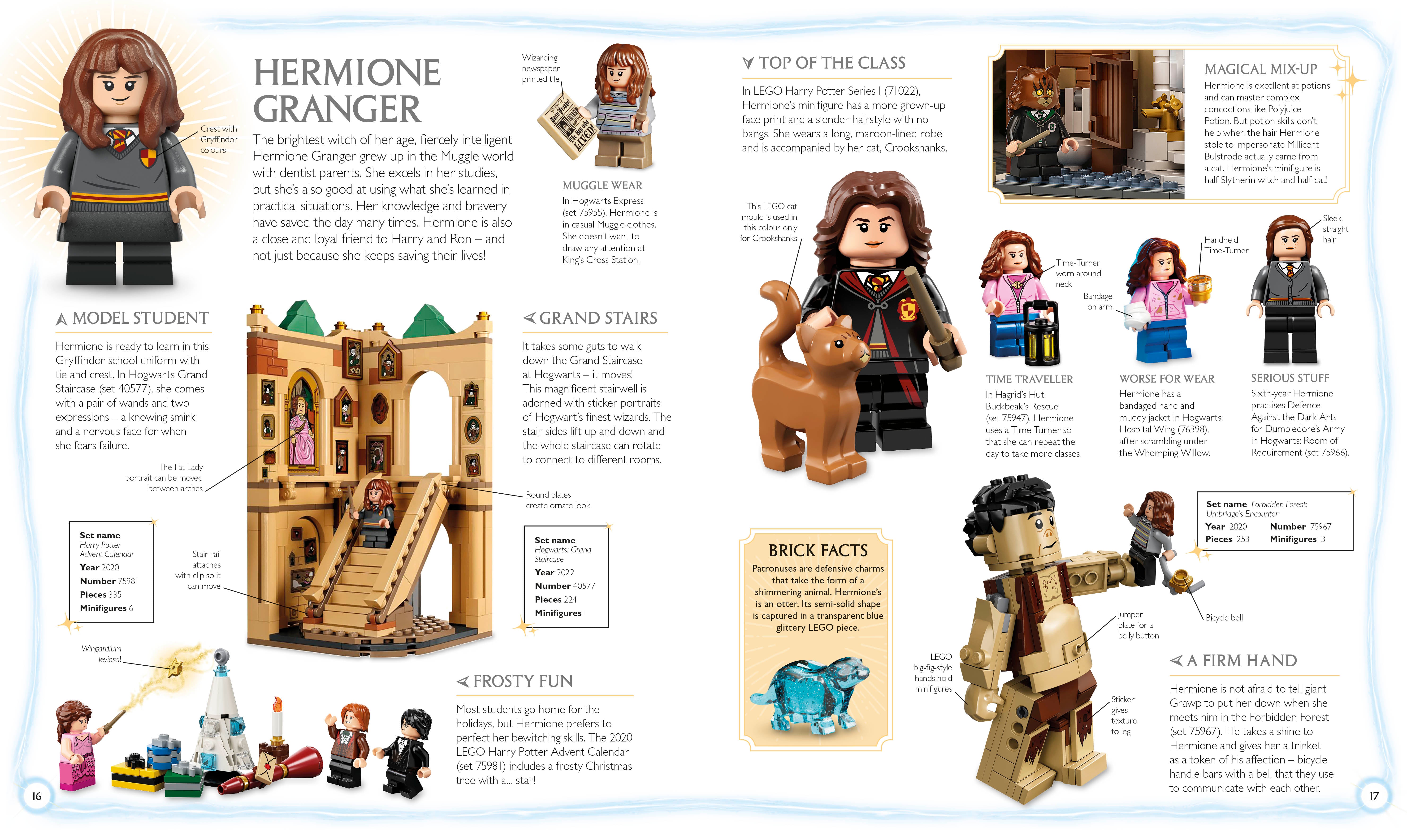 LEGO® Harry Potter Visual Dictionary – DK