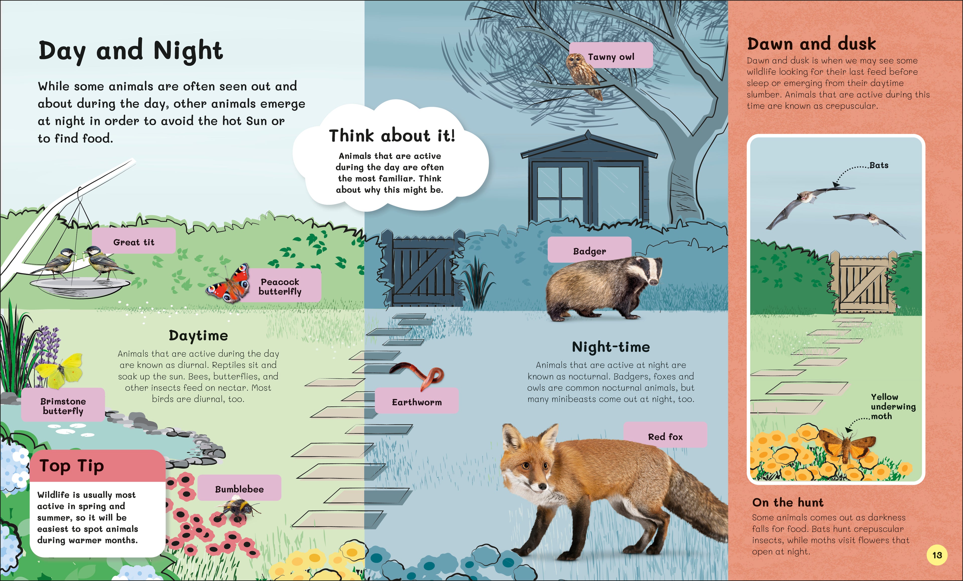 9780241661819-spread-Spread Image (PRHC Design Do Not Use)