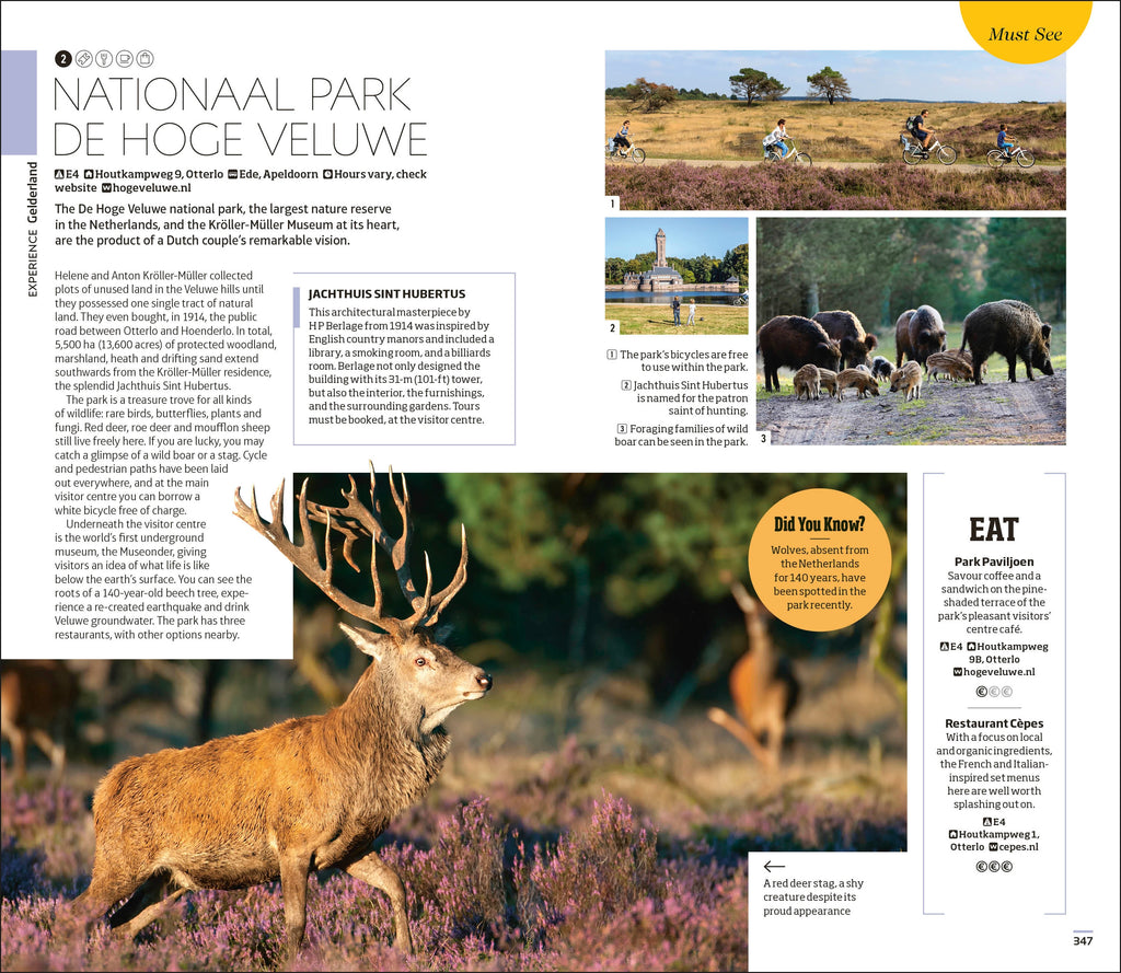 9780241664902-spread-Spread Image (PRHC Design Do Not Use)