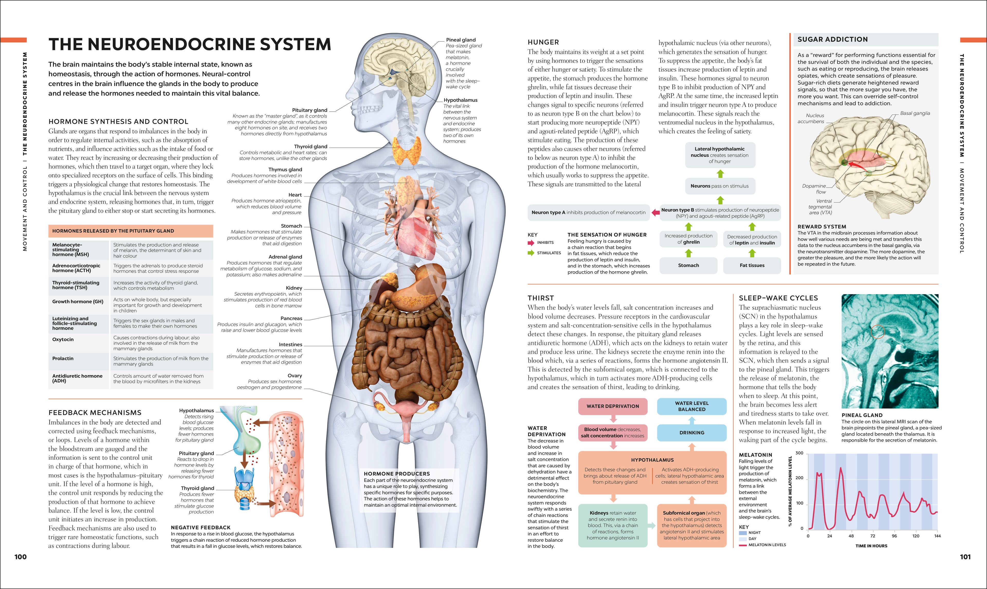 9780241666784-spread-4