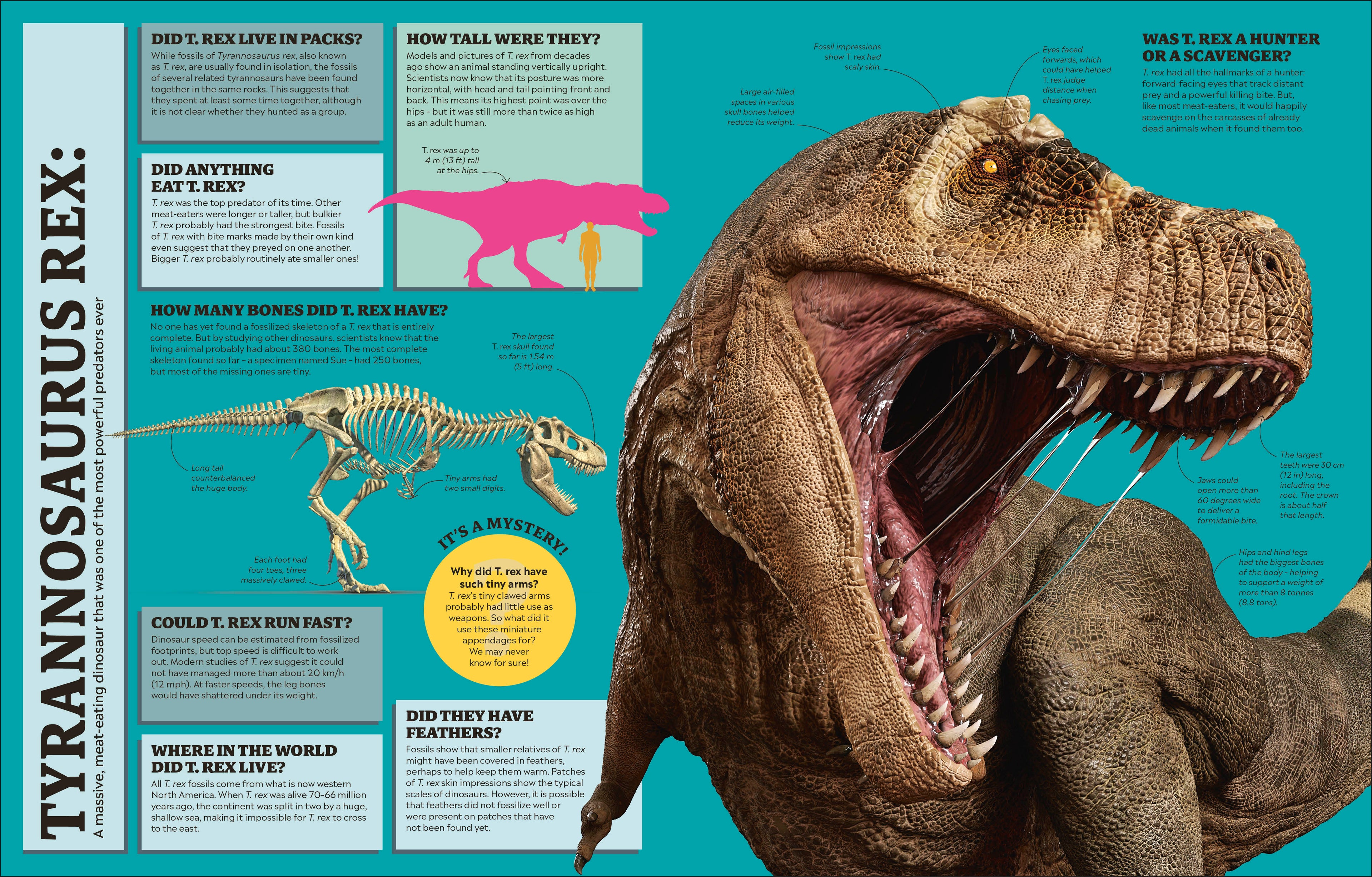 9780241667712-spread-3