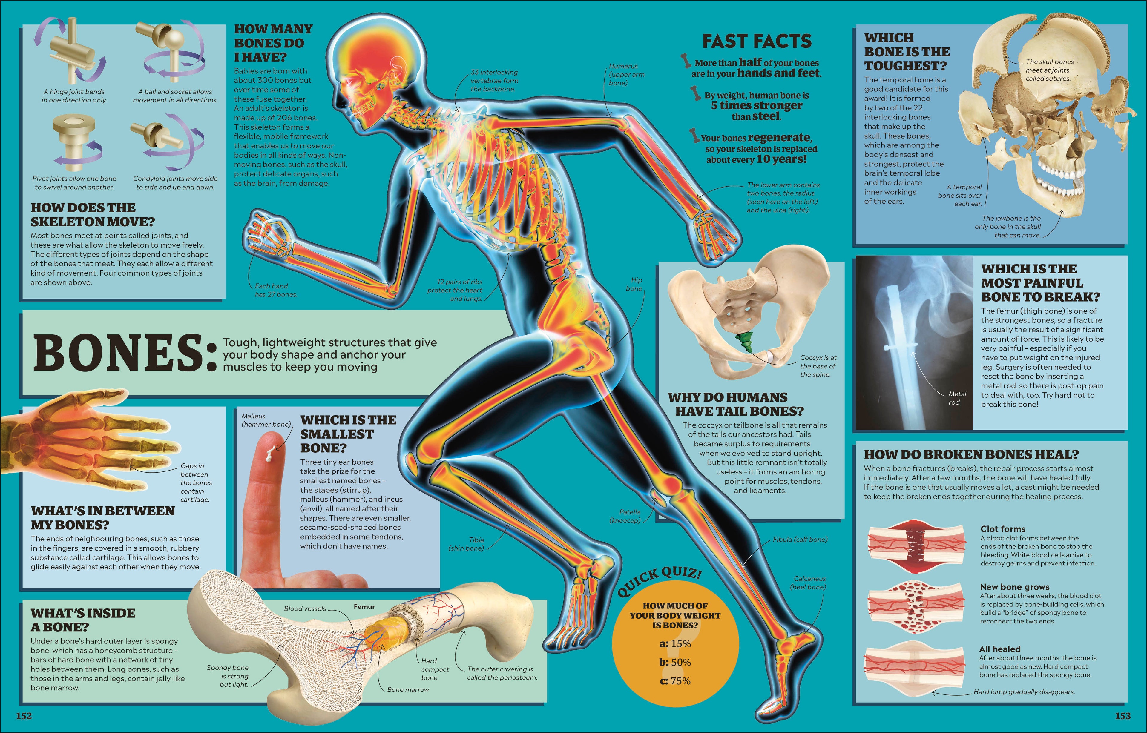 9780241667712-spread-7