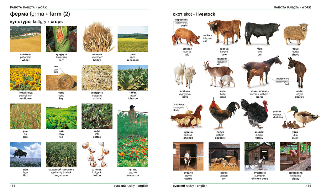 9780241667781-spread-Spread Image (PRHC Design Do Not Use)