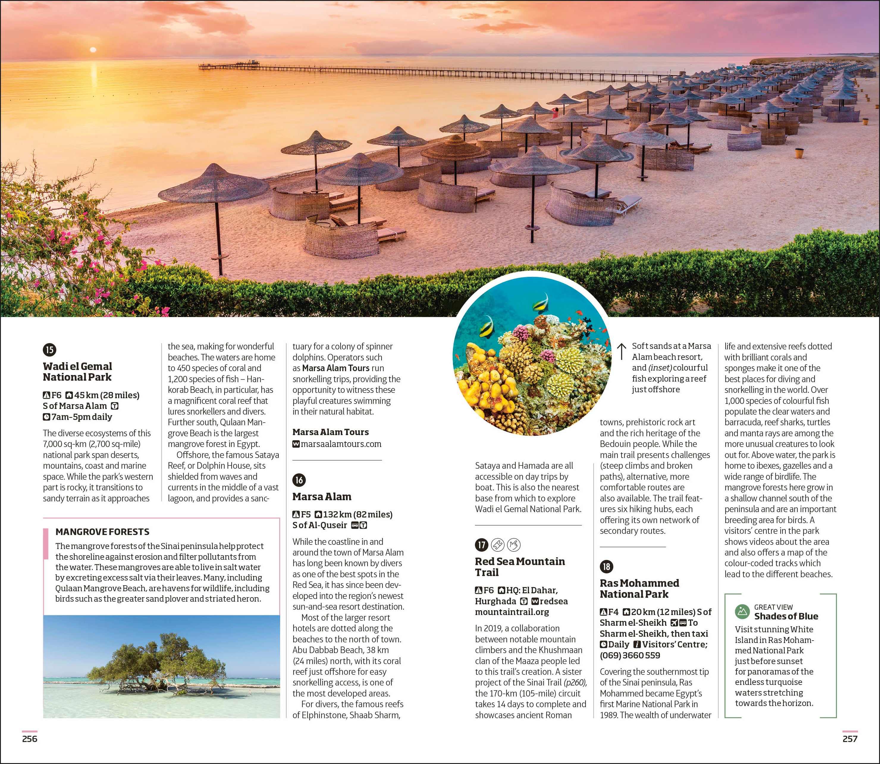 9780241671924-spread-Spread Image (PRHC Design Do Not Use)