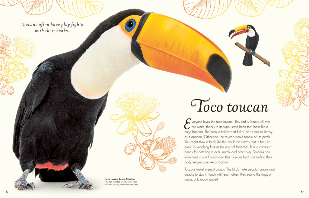 An Anthology of Exquisite Birds