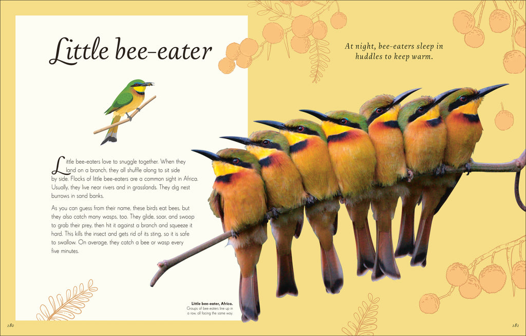 An Anthology of Exquisite Birds