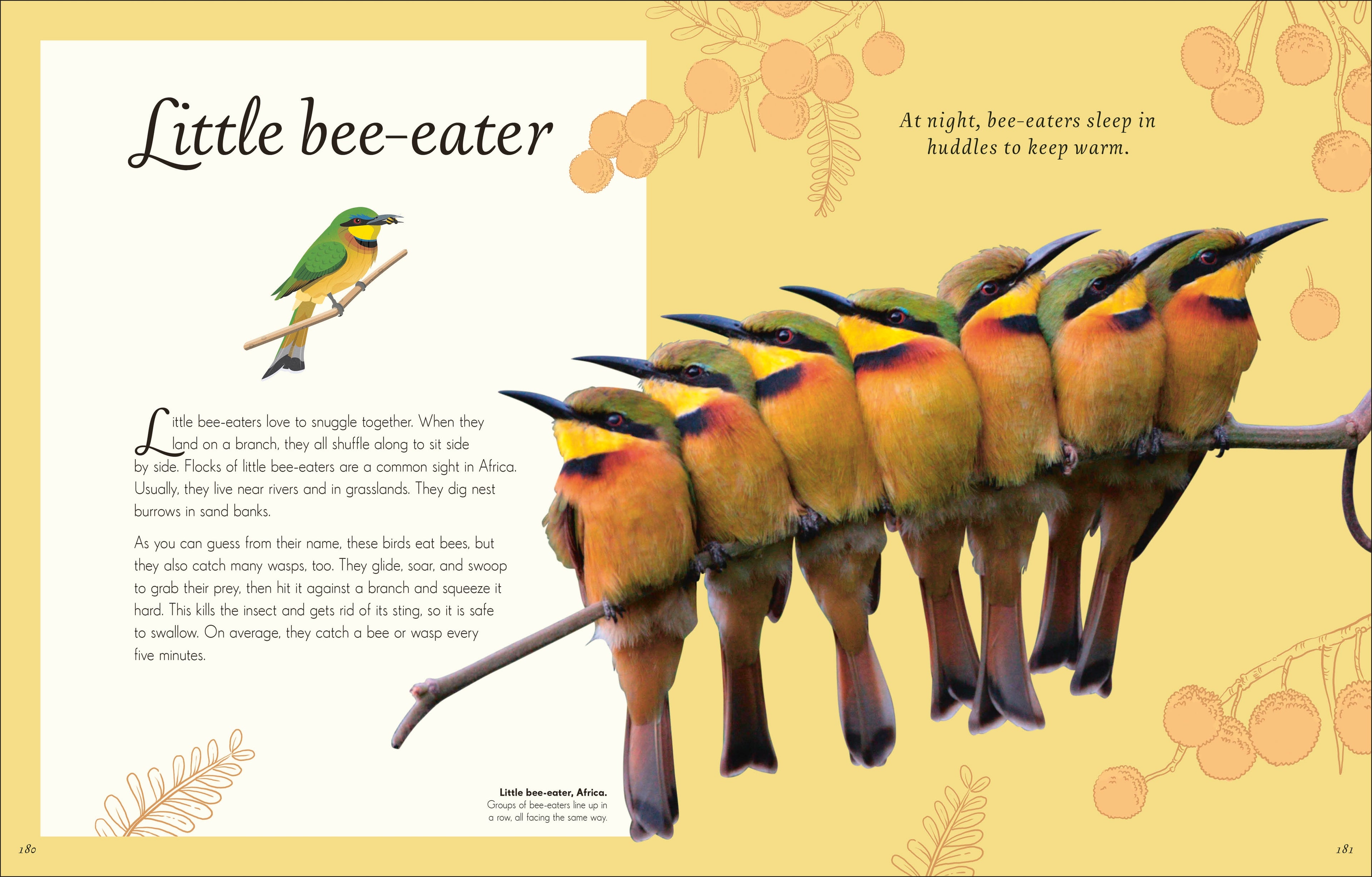An Anthology of Exquisite Birds