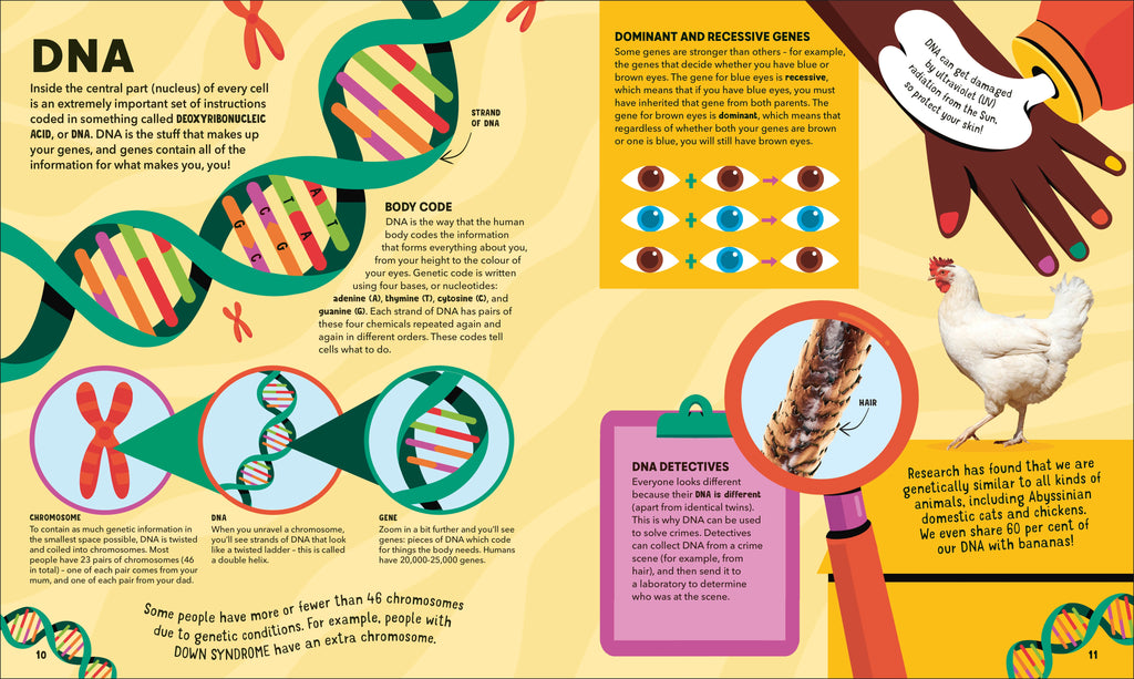 Dr Ranj's Human Body Encyclopedia