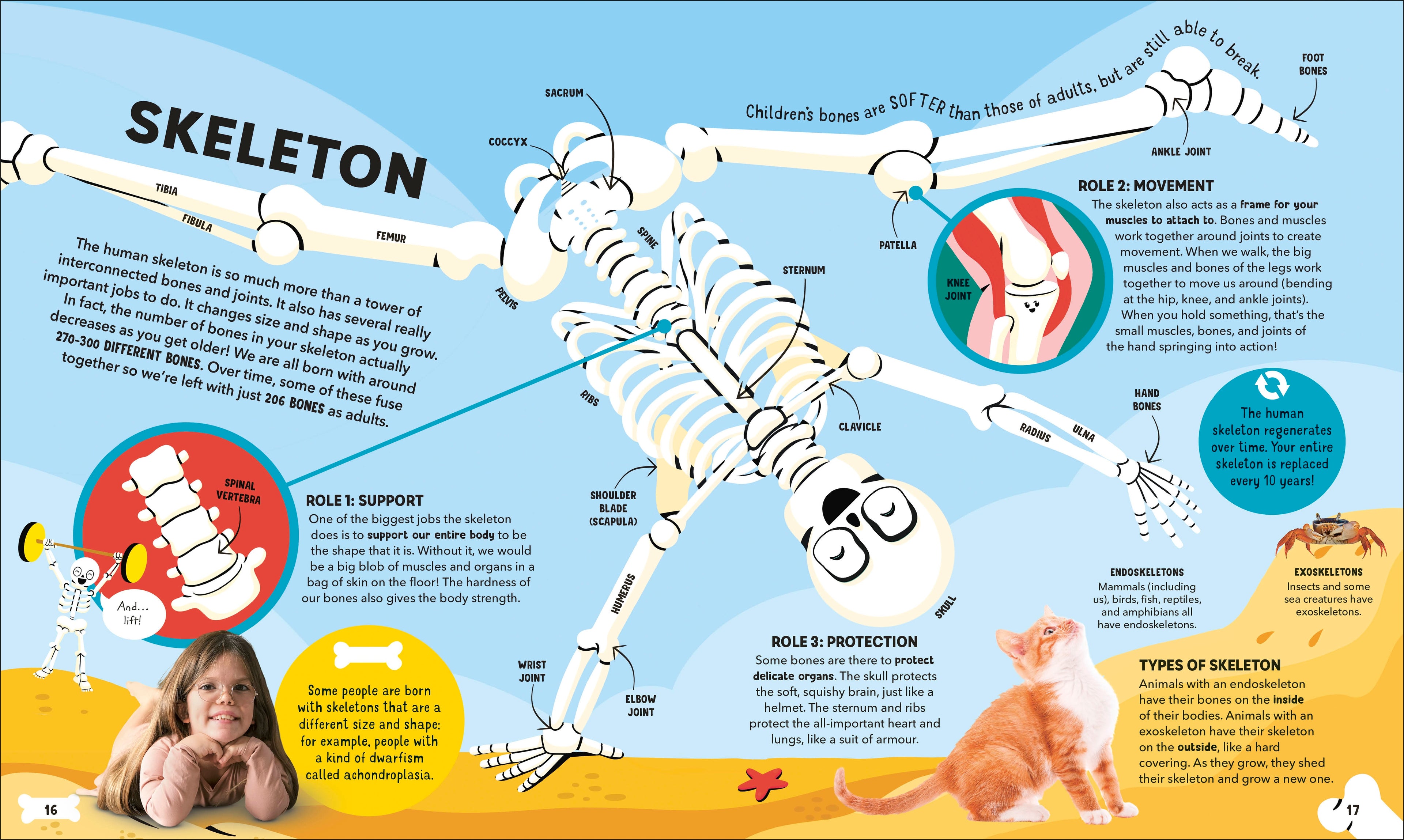 Dr Ranj's Human Body Encyclopedia