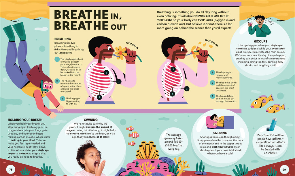 Dr Ranj's Human Body Encyclopedia