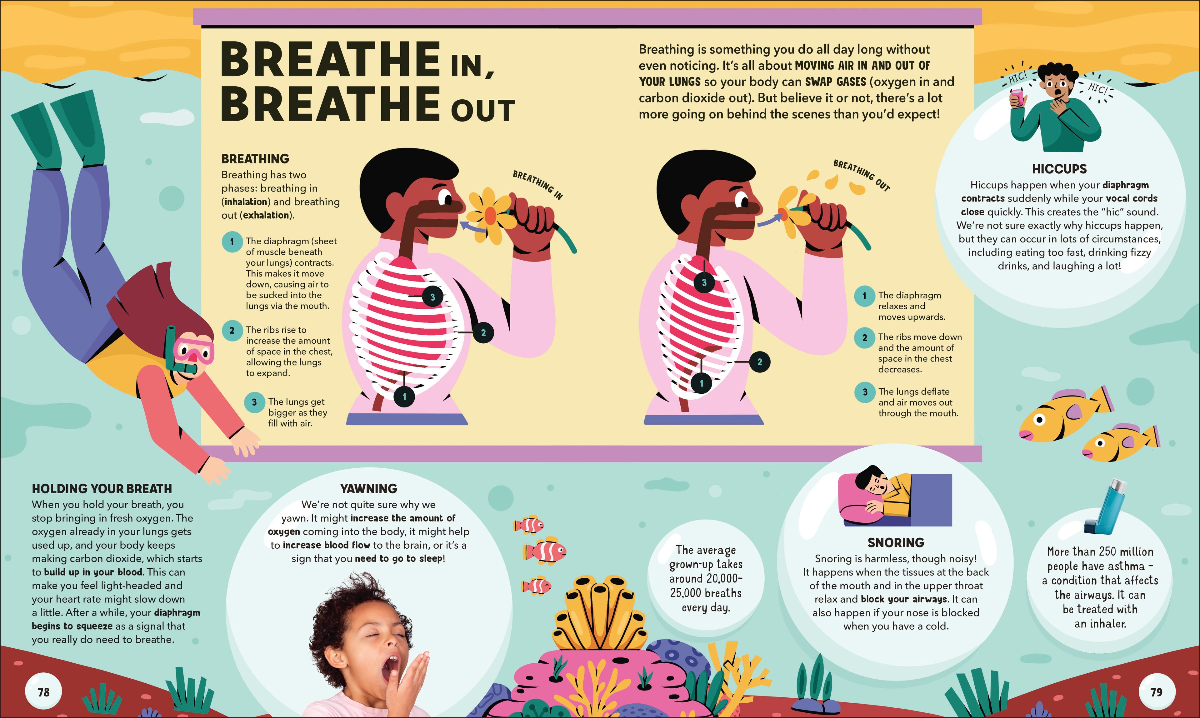 Dr Ranj's Human Body Encyclopedia