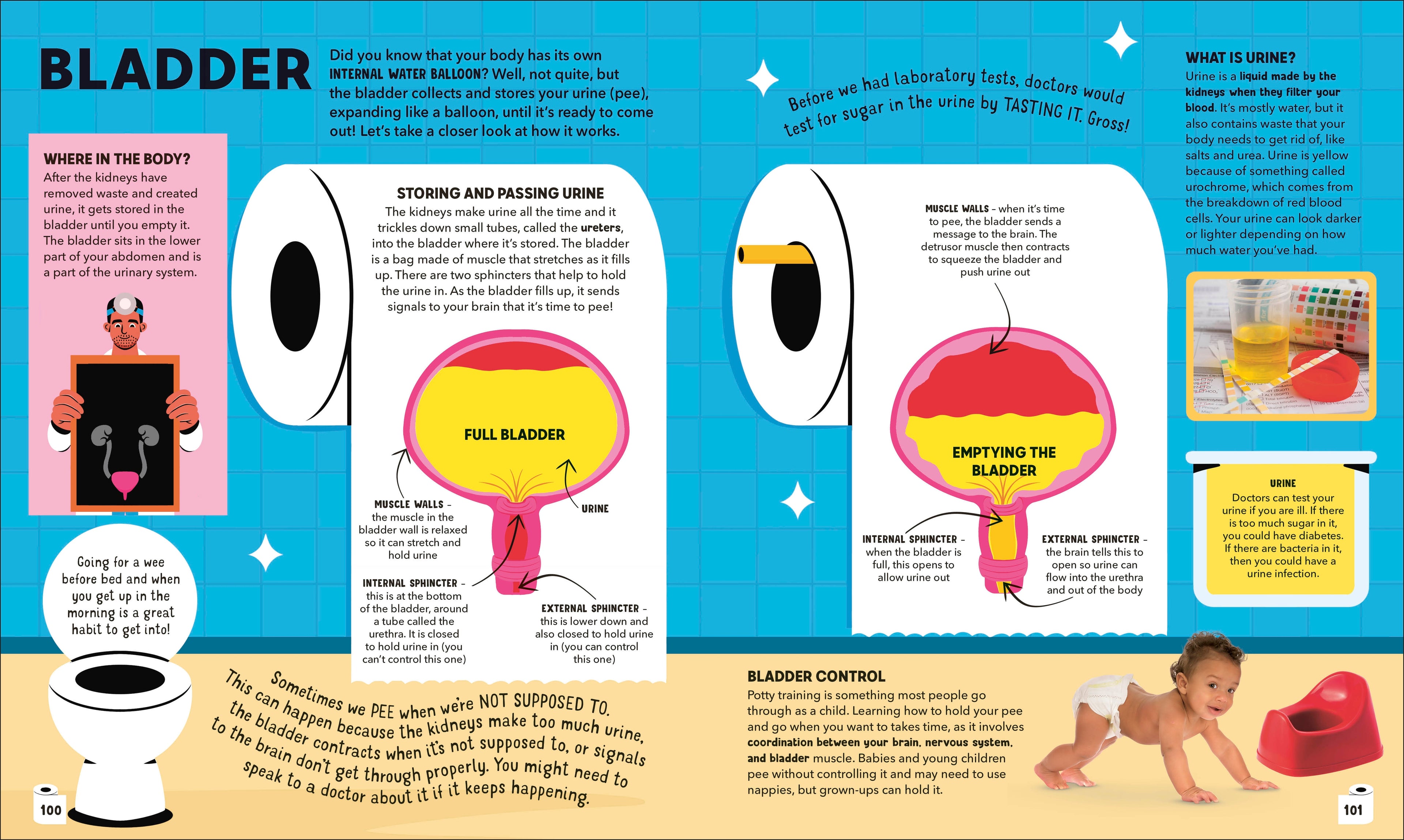 Dr Ranj's Human Body Encyclopedia