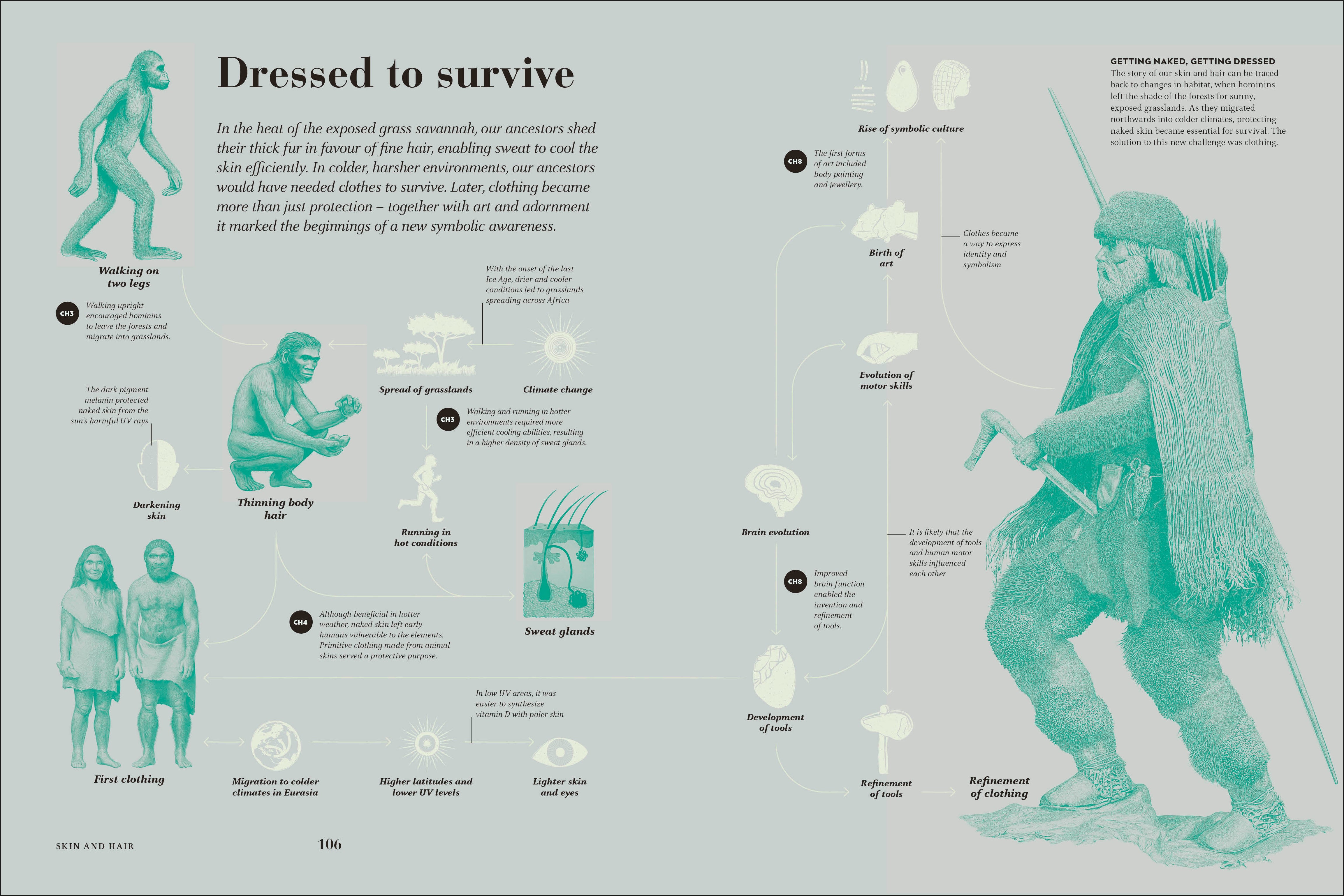 Humans – DK