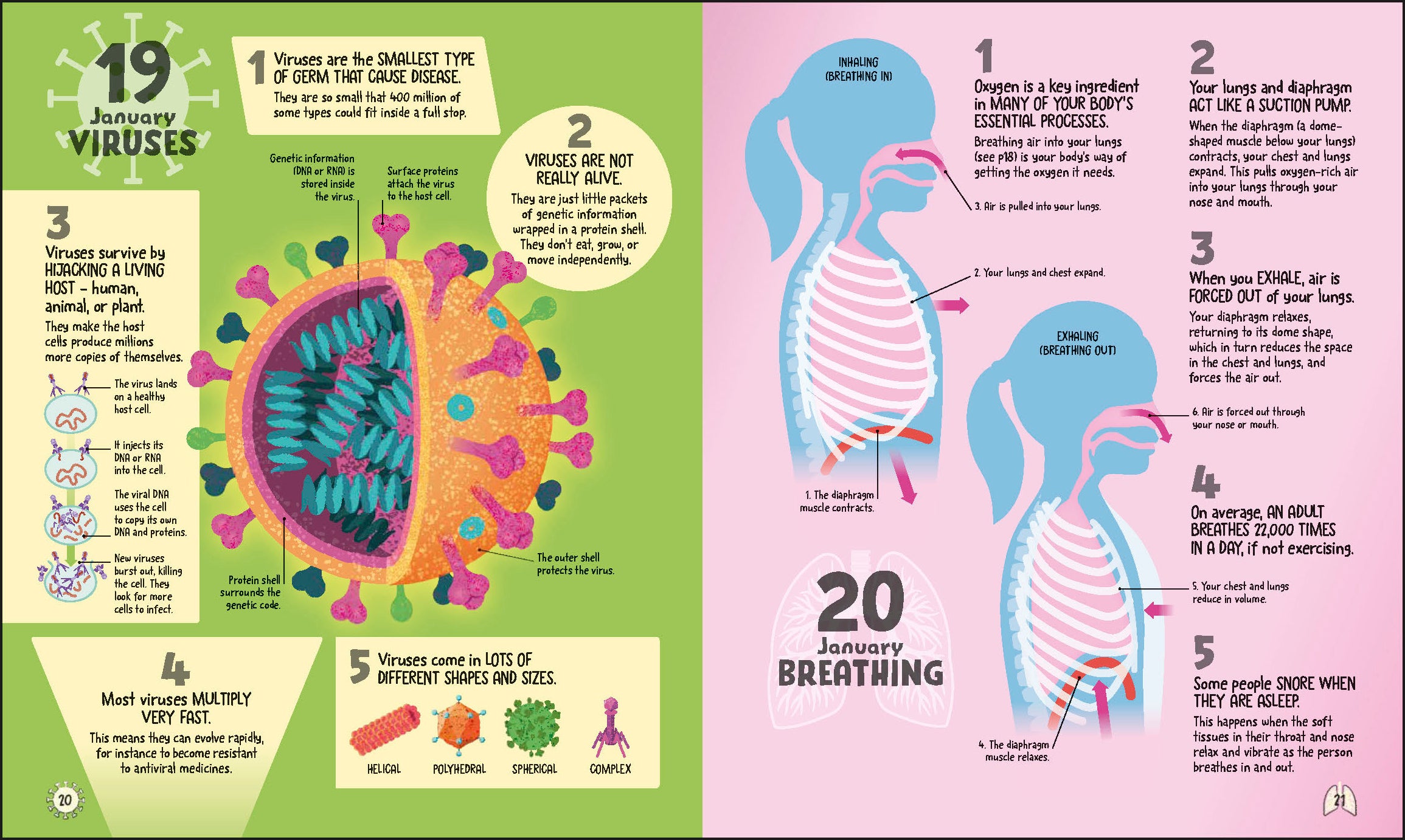 5 Facts a Day Science – DK