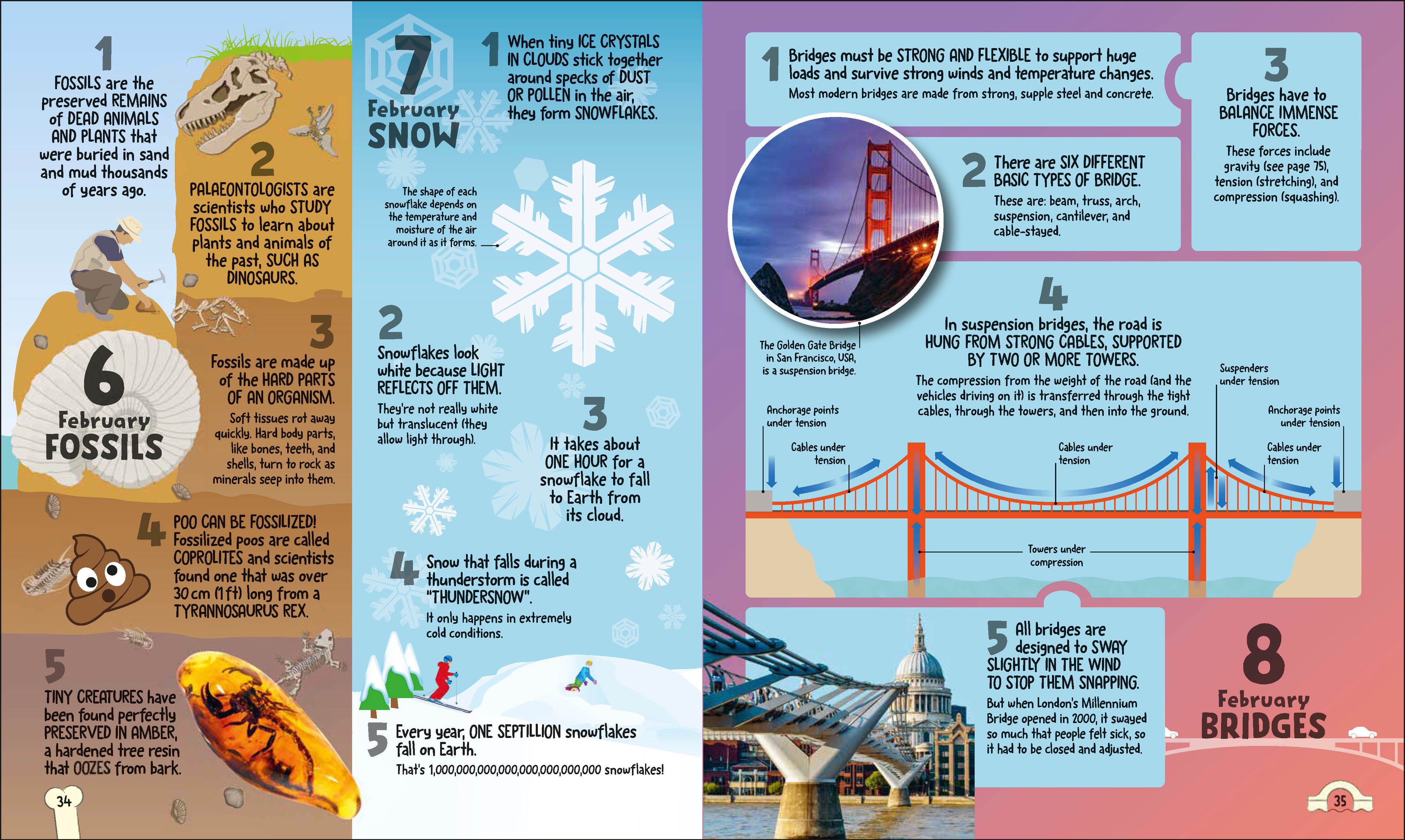 5 Facts a Day Science – DK