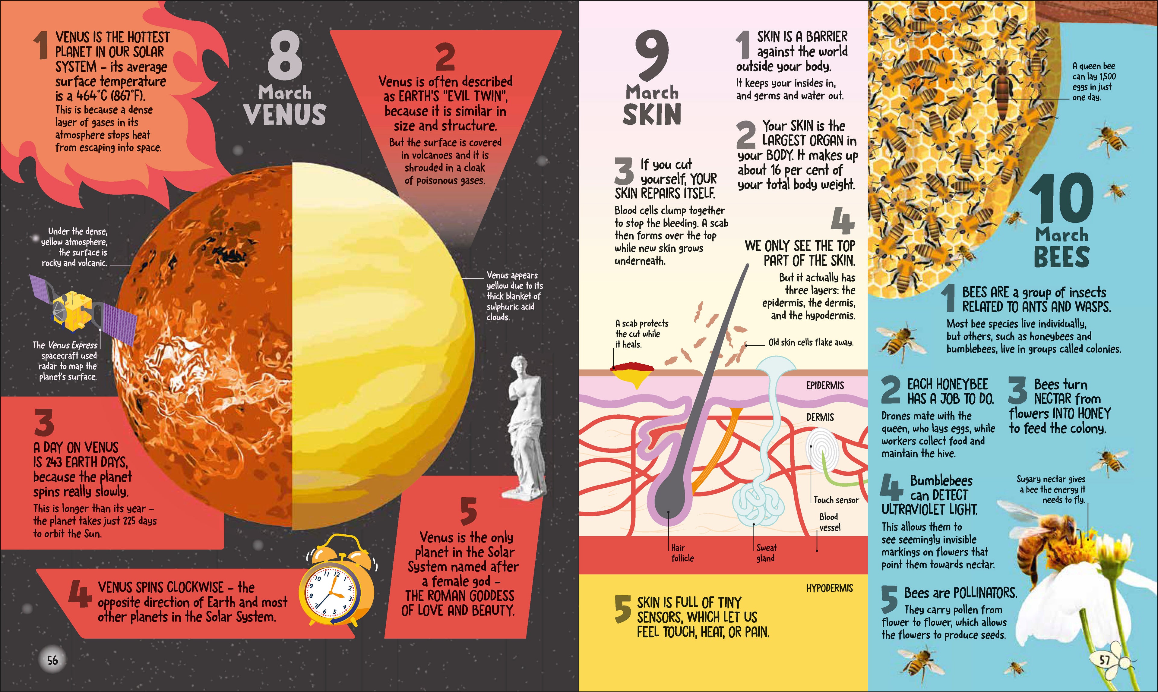 9780241683187-spread-4