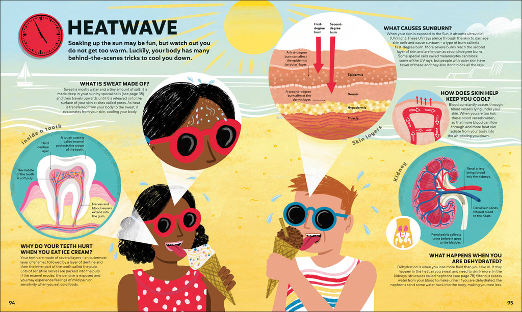 A Day in the Life of Your Body