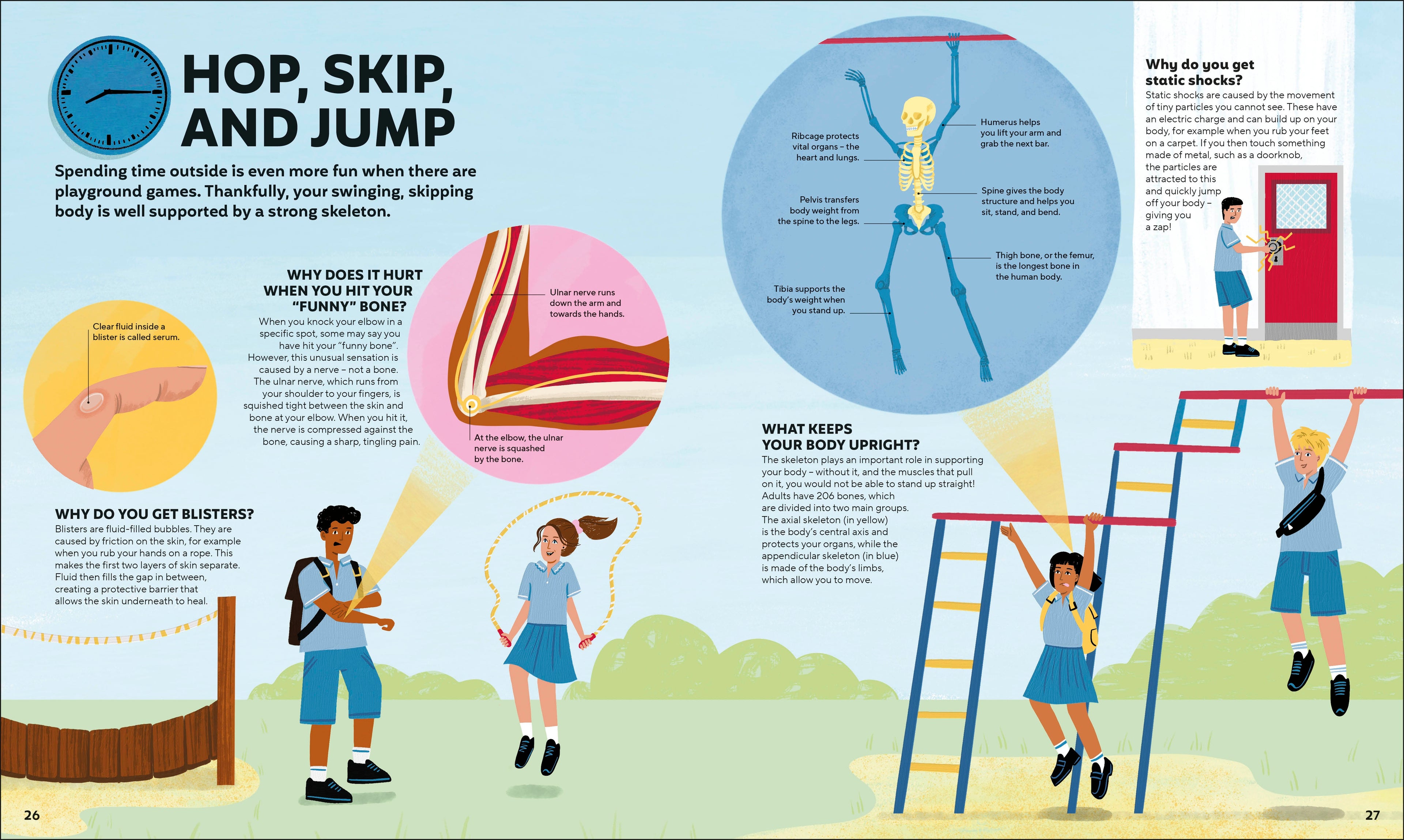 A Day in the Life of Your Body