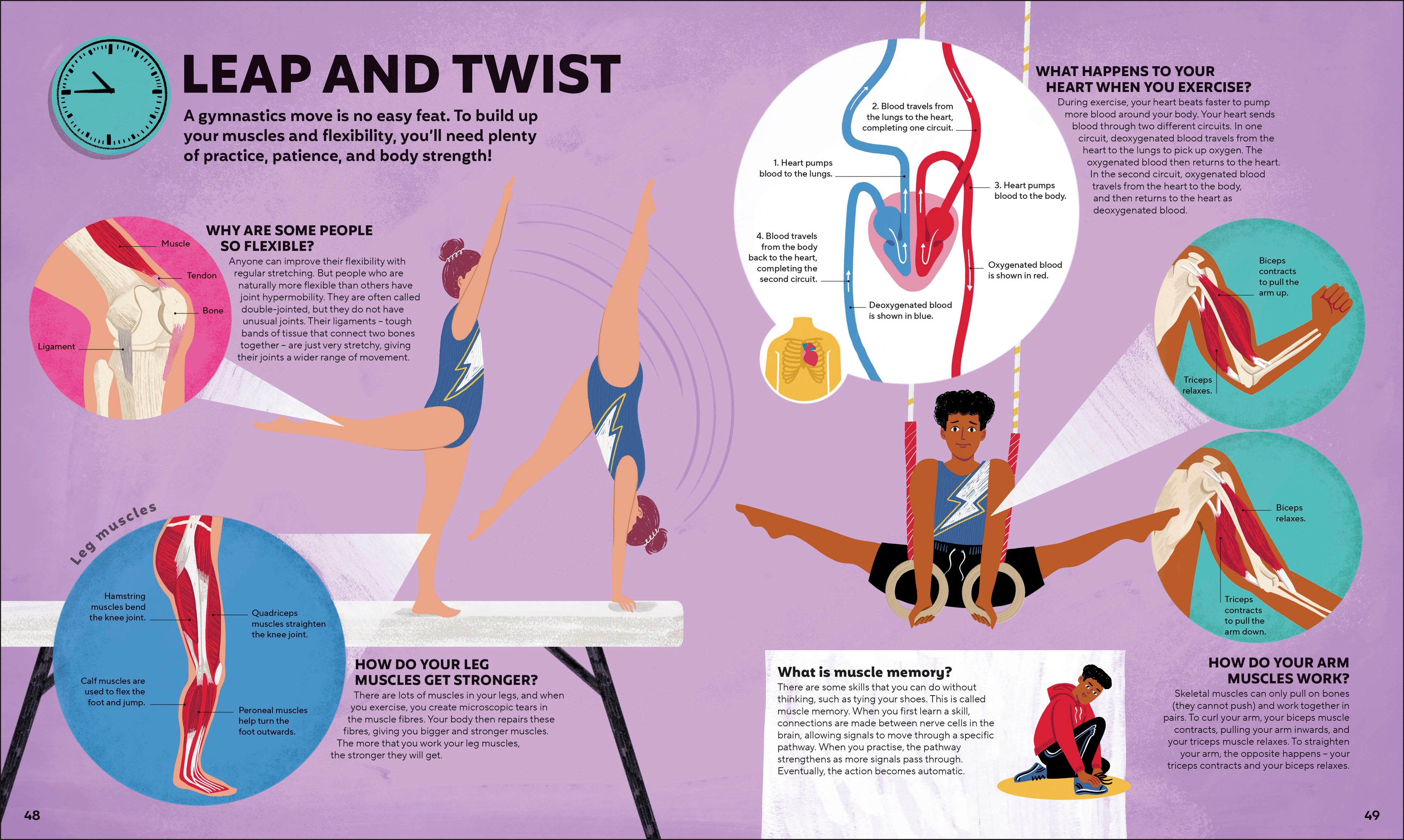 A Day in the Life of Your Body