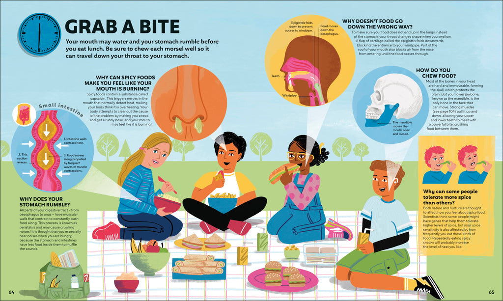 A Day in the Life of Your Body