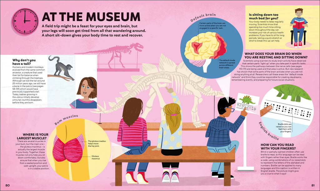 A Day in the Life of Your Body