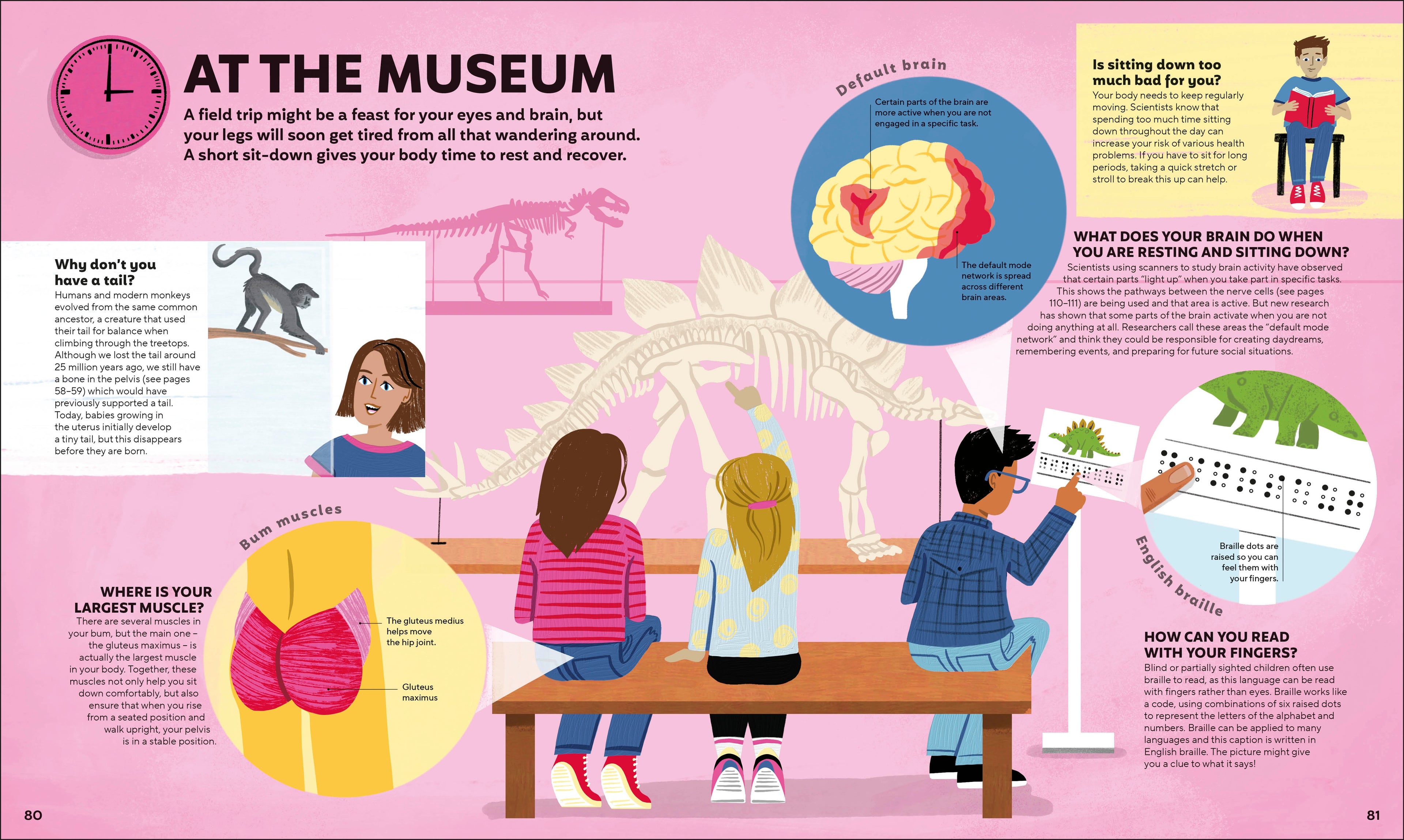 A Day in the Life of Your Body