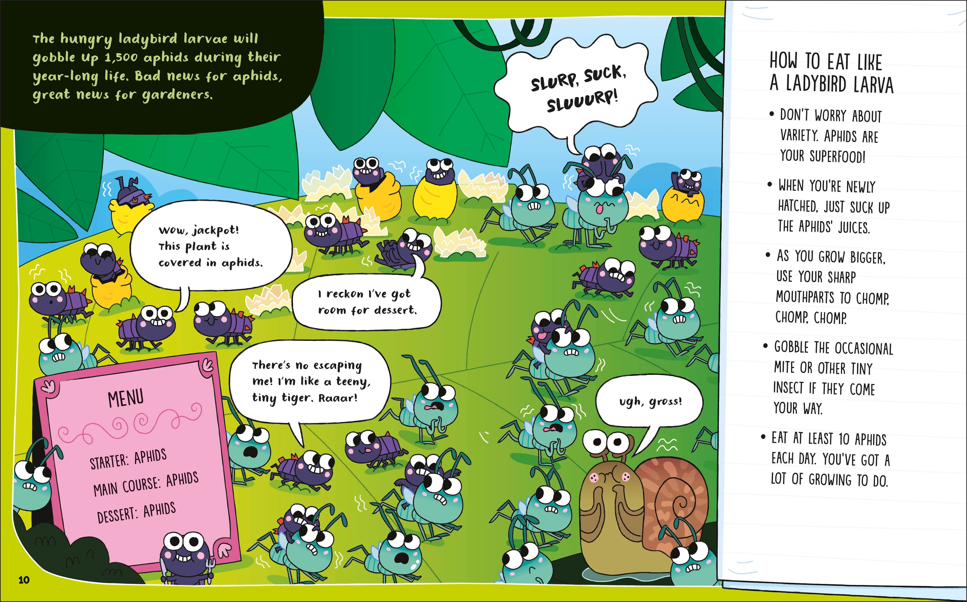How to be a Ladybird (in association with the Royal Entomological Society)