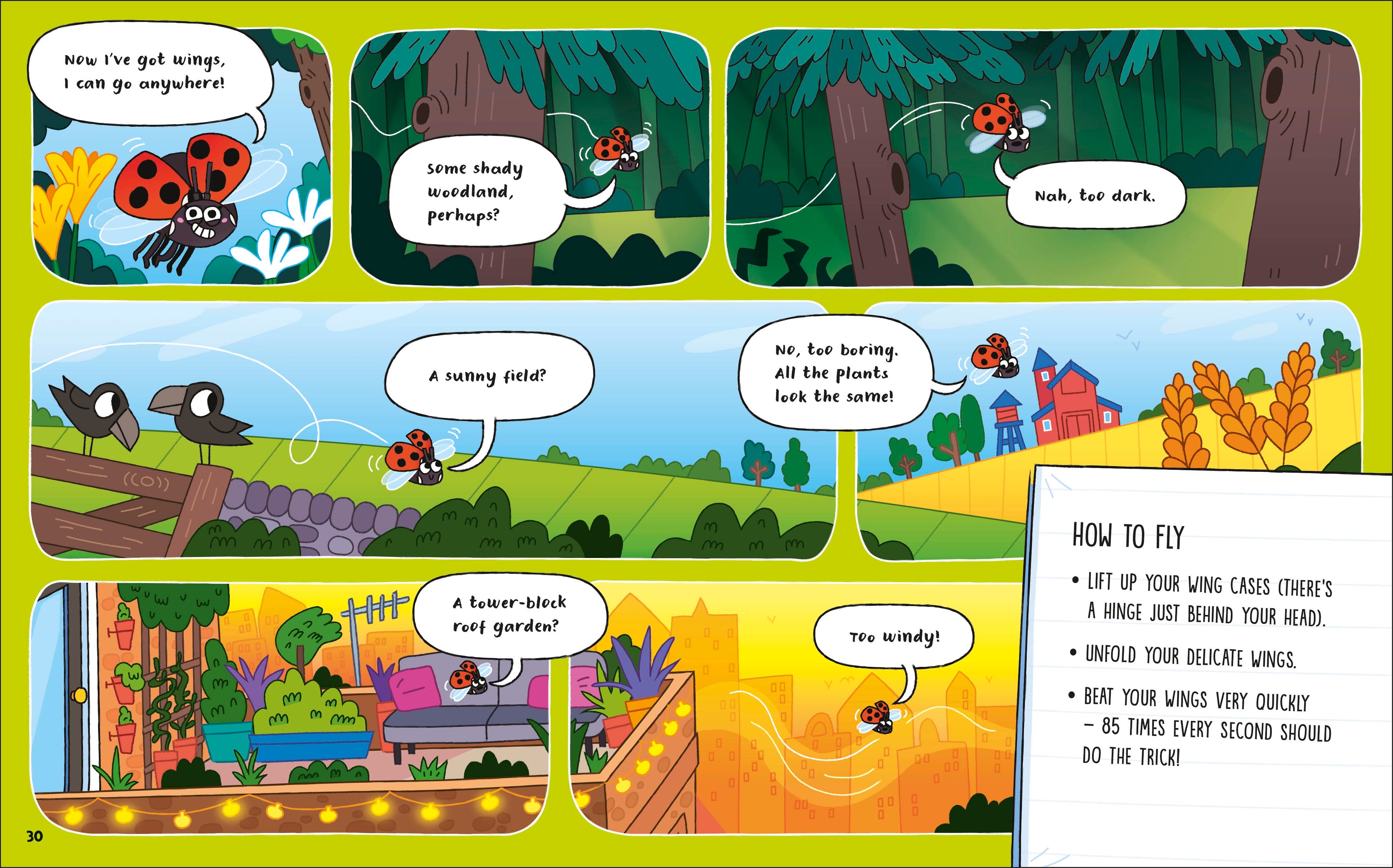 How to be a Ladybird (in association with the Royal Entomological Society)