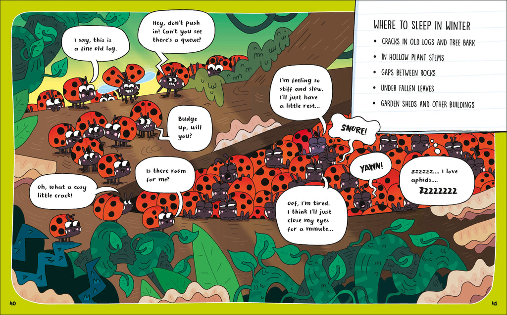 How to be a Ladybird (in association with the Royal Entomological Society)